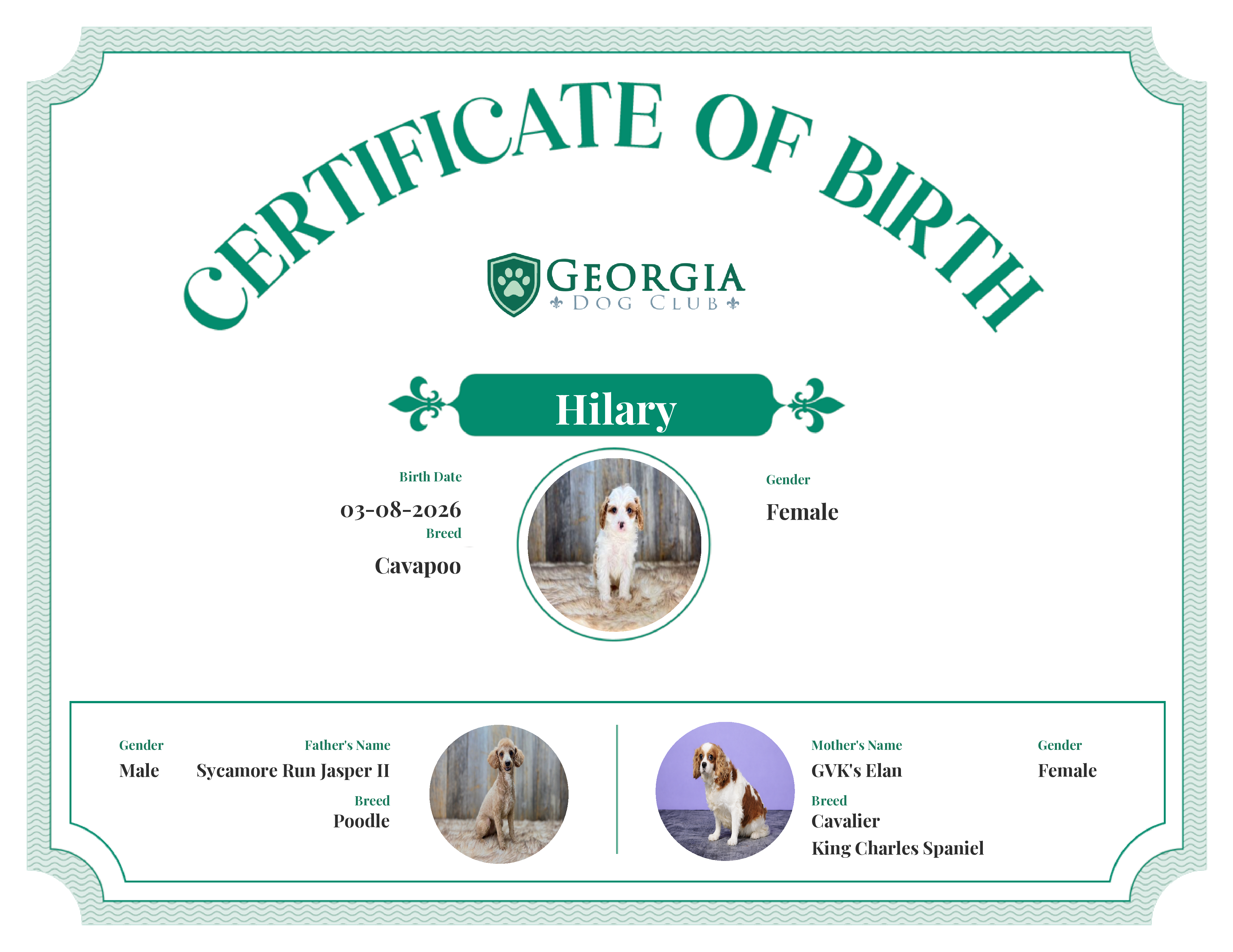 Hilary's Birth Certificate