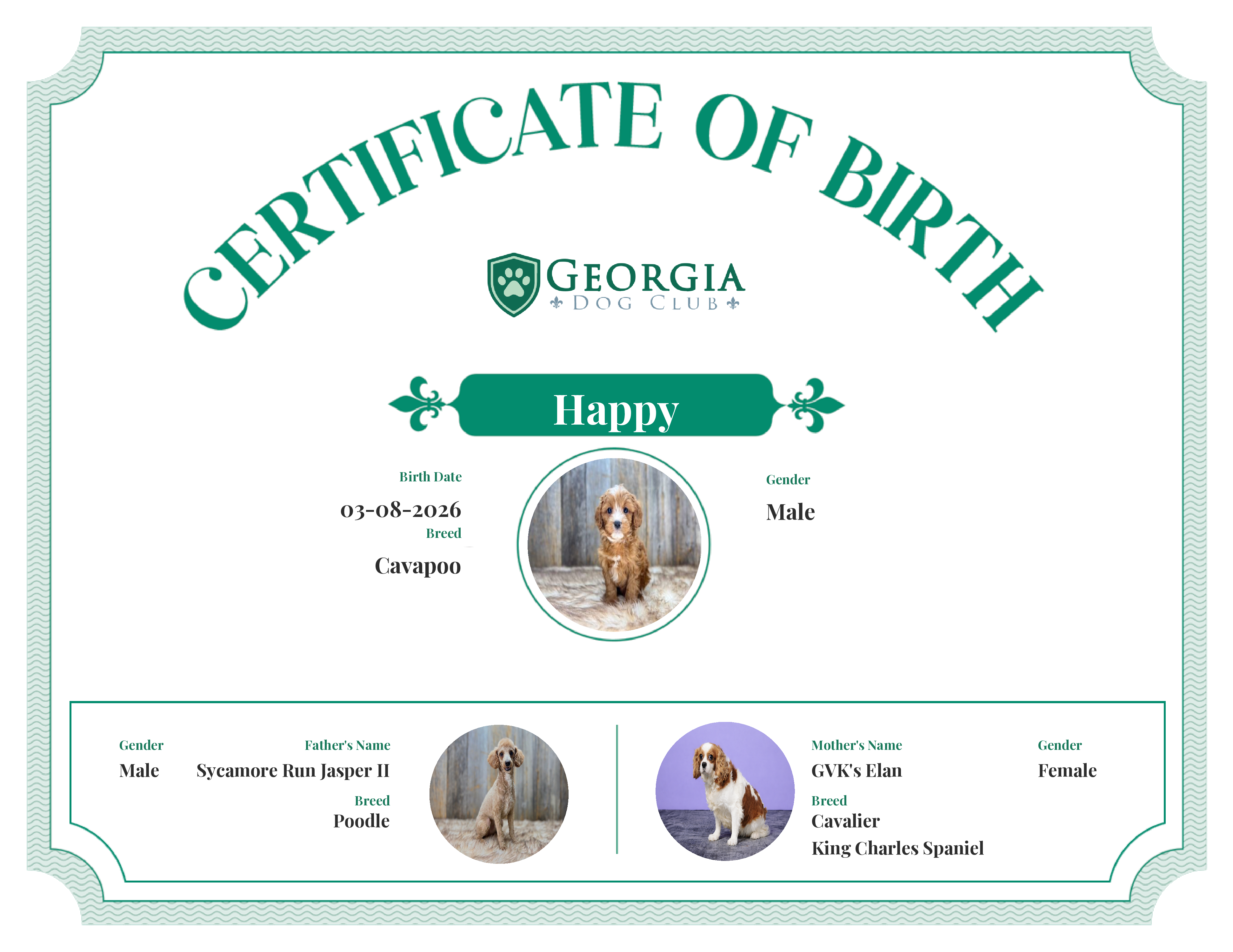 Happy's Birth Certificate
