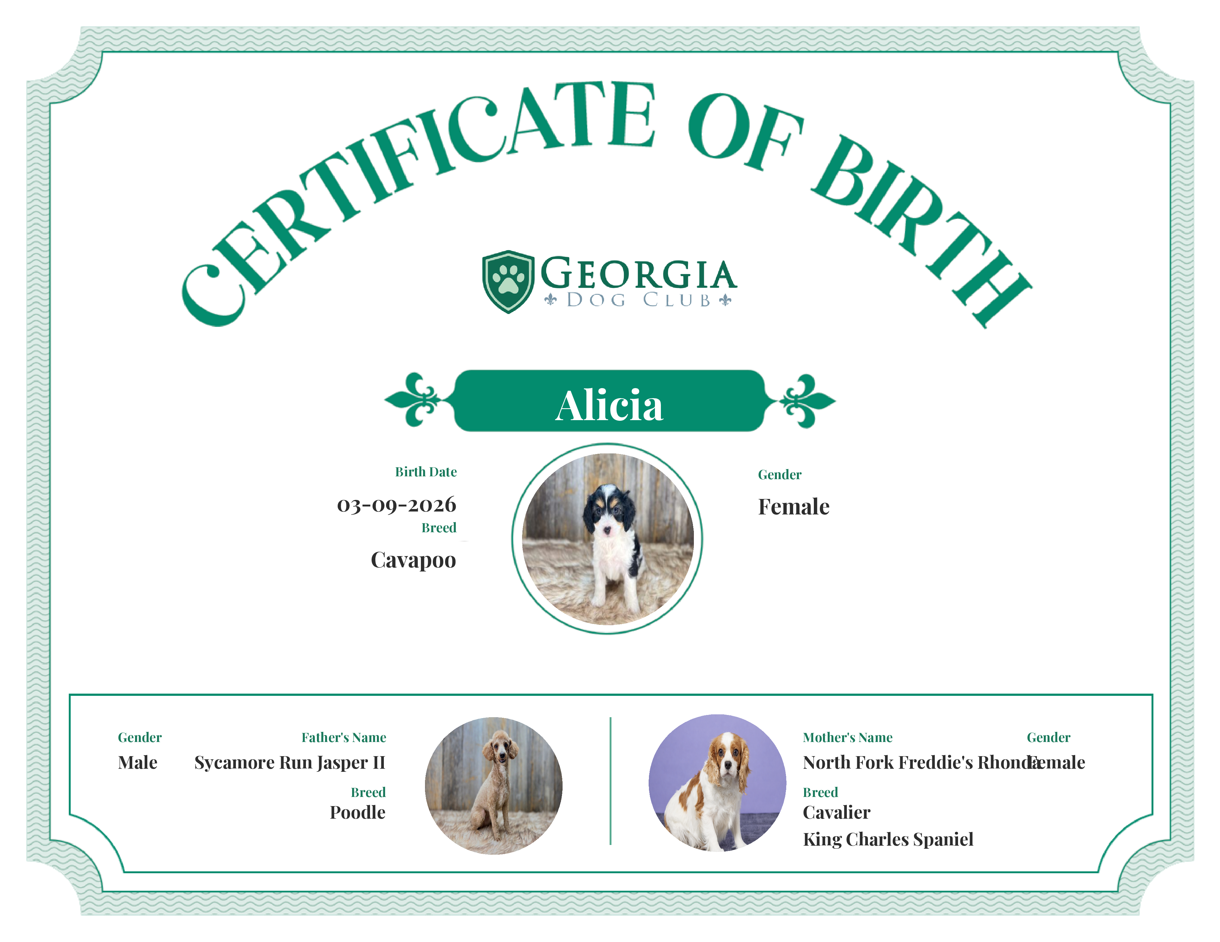 Alicia's Birth Certificate