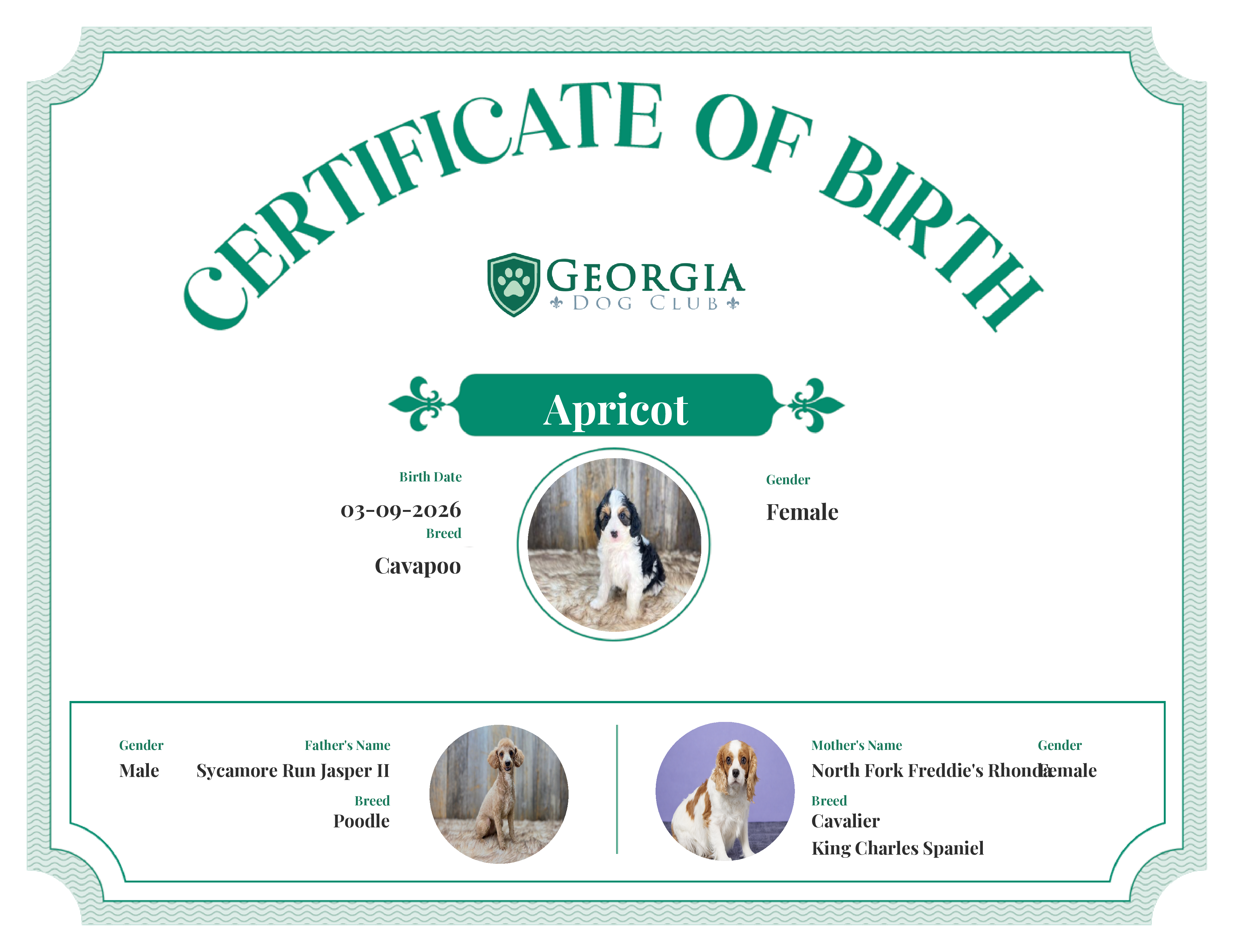 Apricot's Birth Certificate
