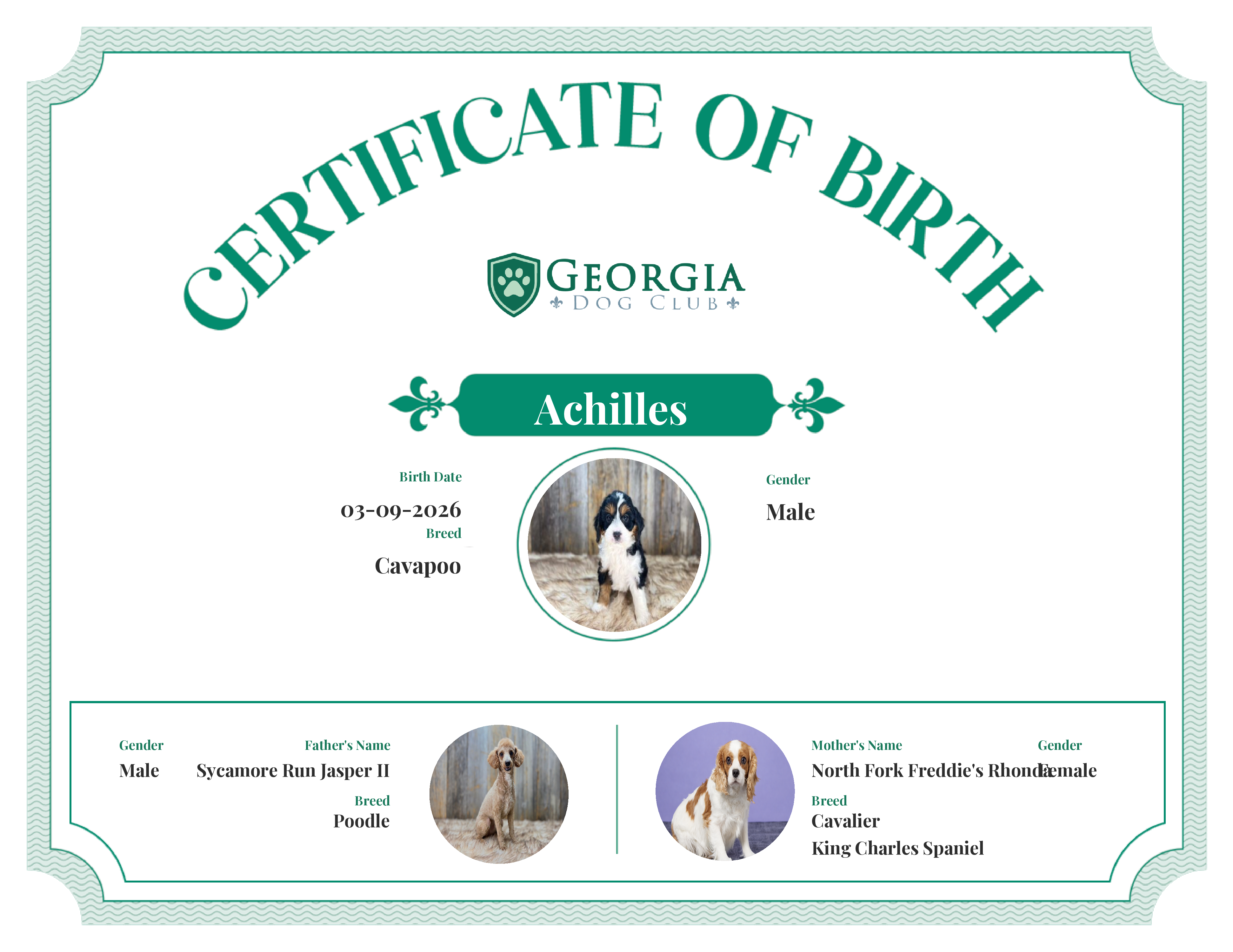 Achilles 's Birth Certificate
