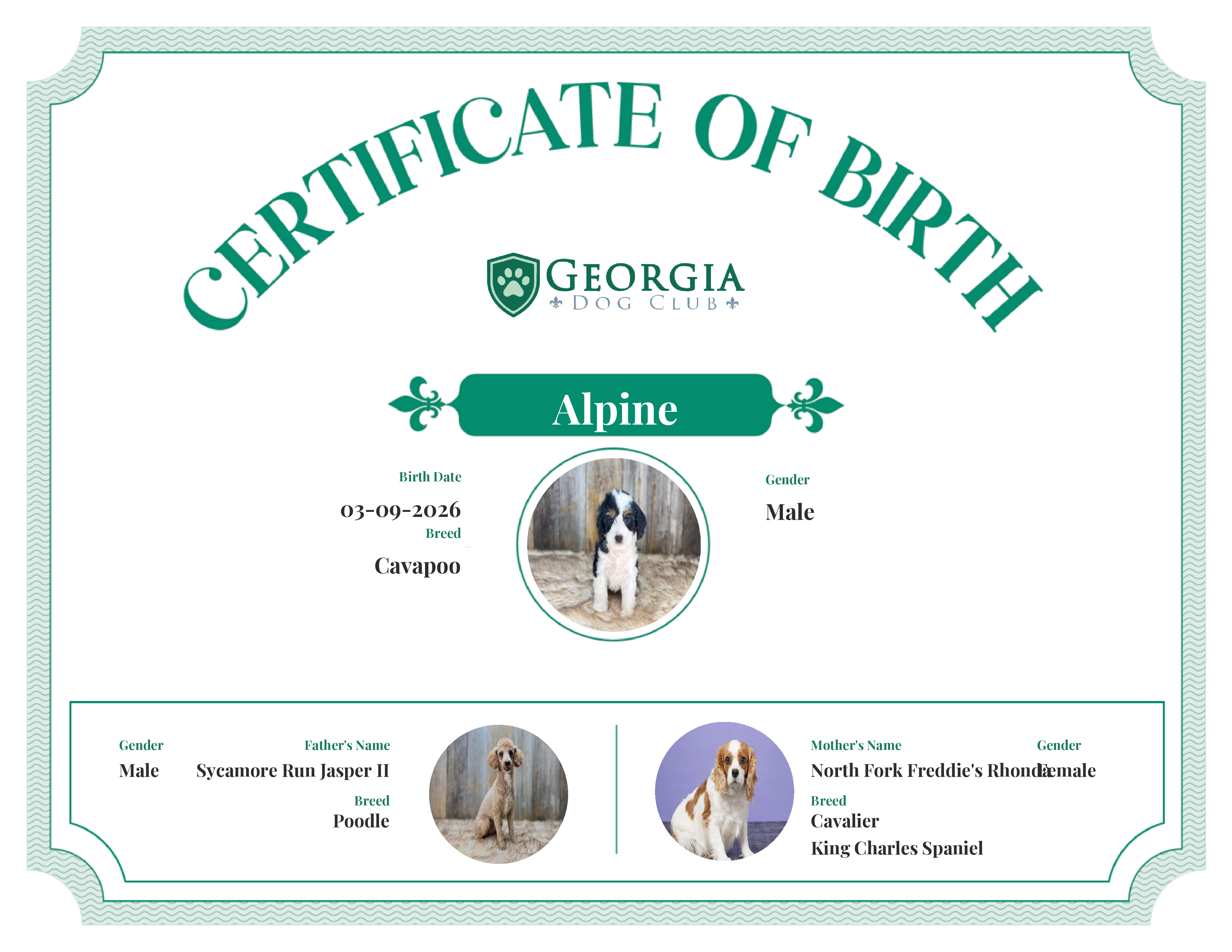 Alpine's Birth Certificate