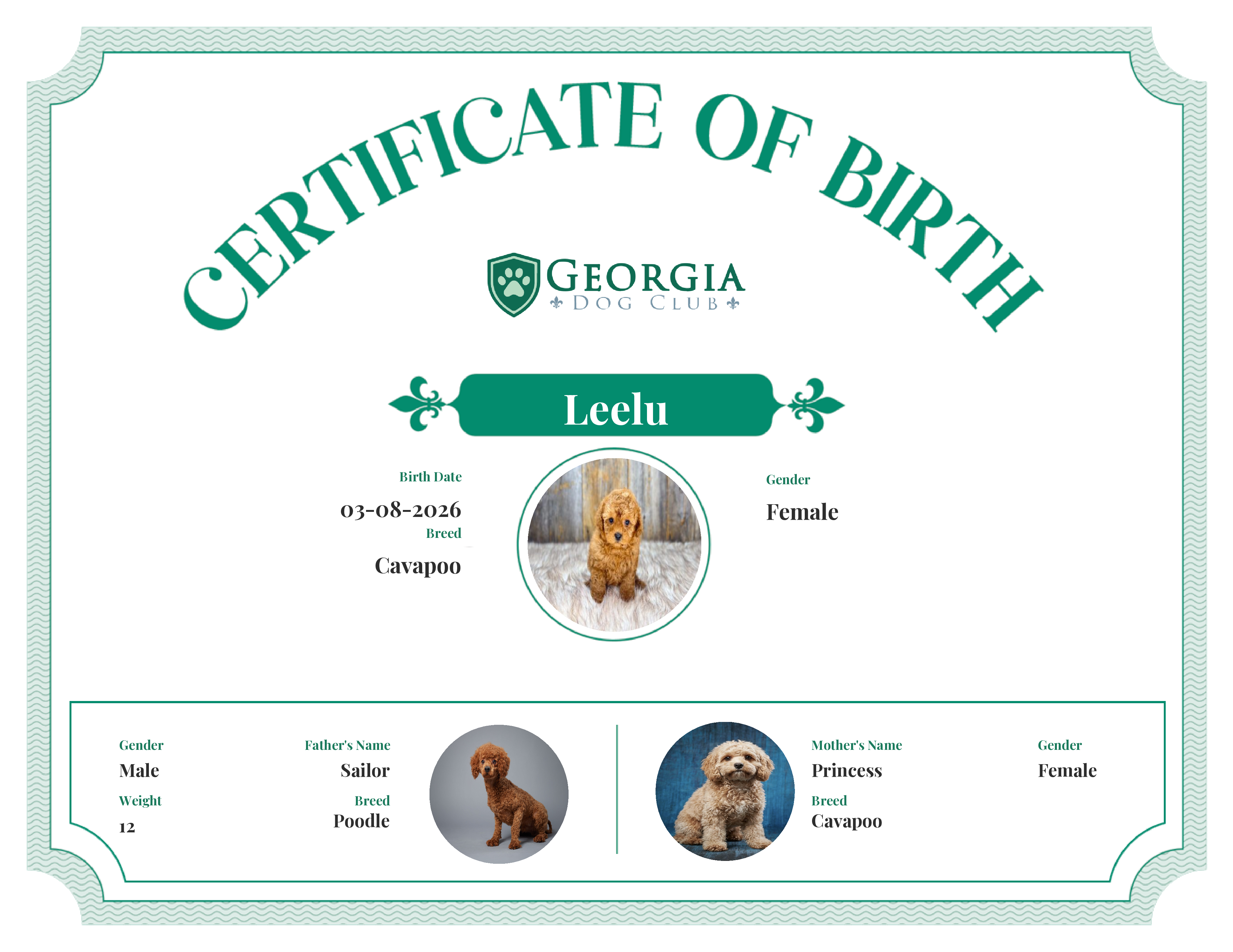 Leelu's Birth Certificate