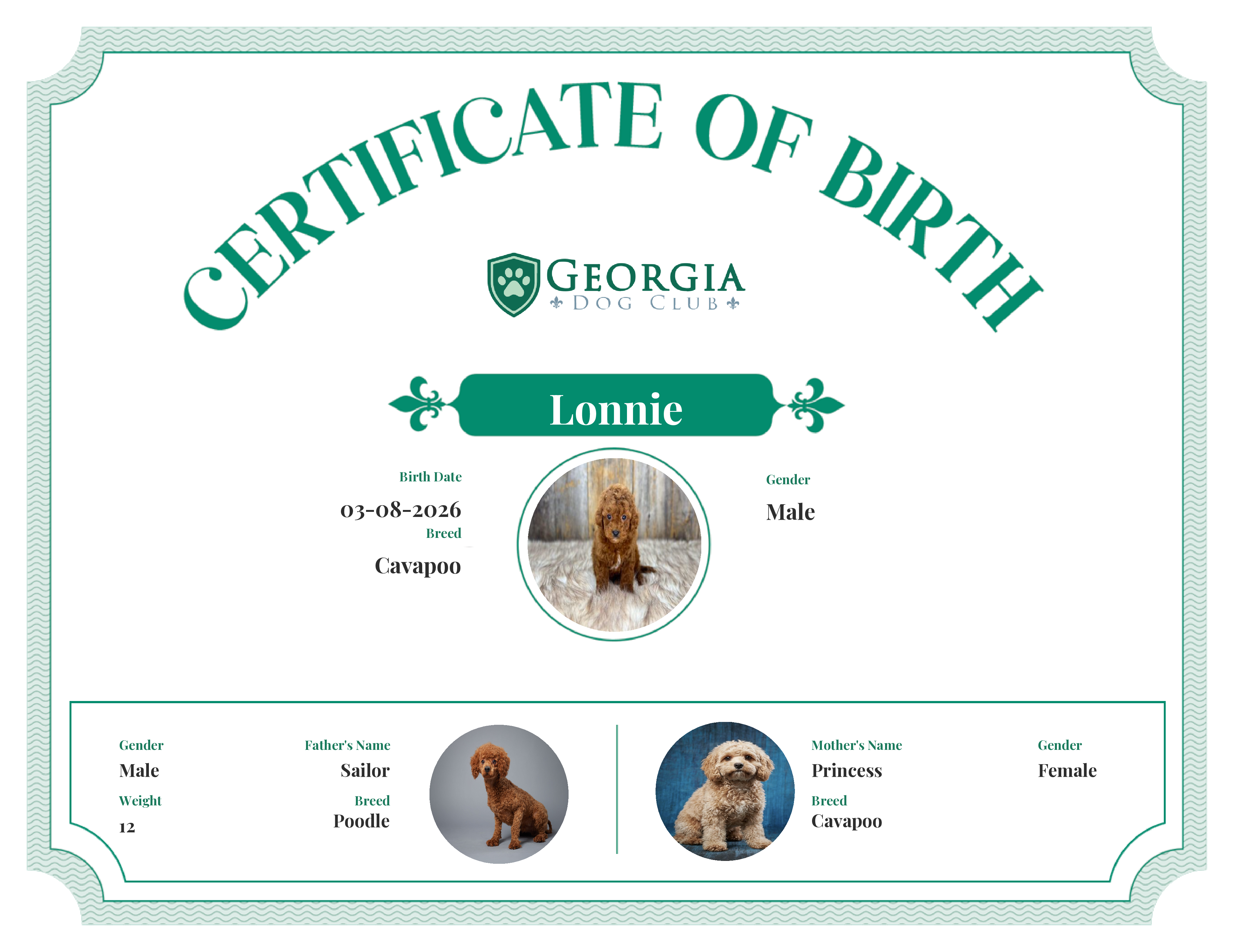 Lonnie's Birth Certificate