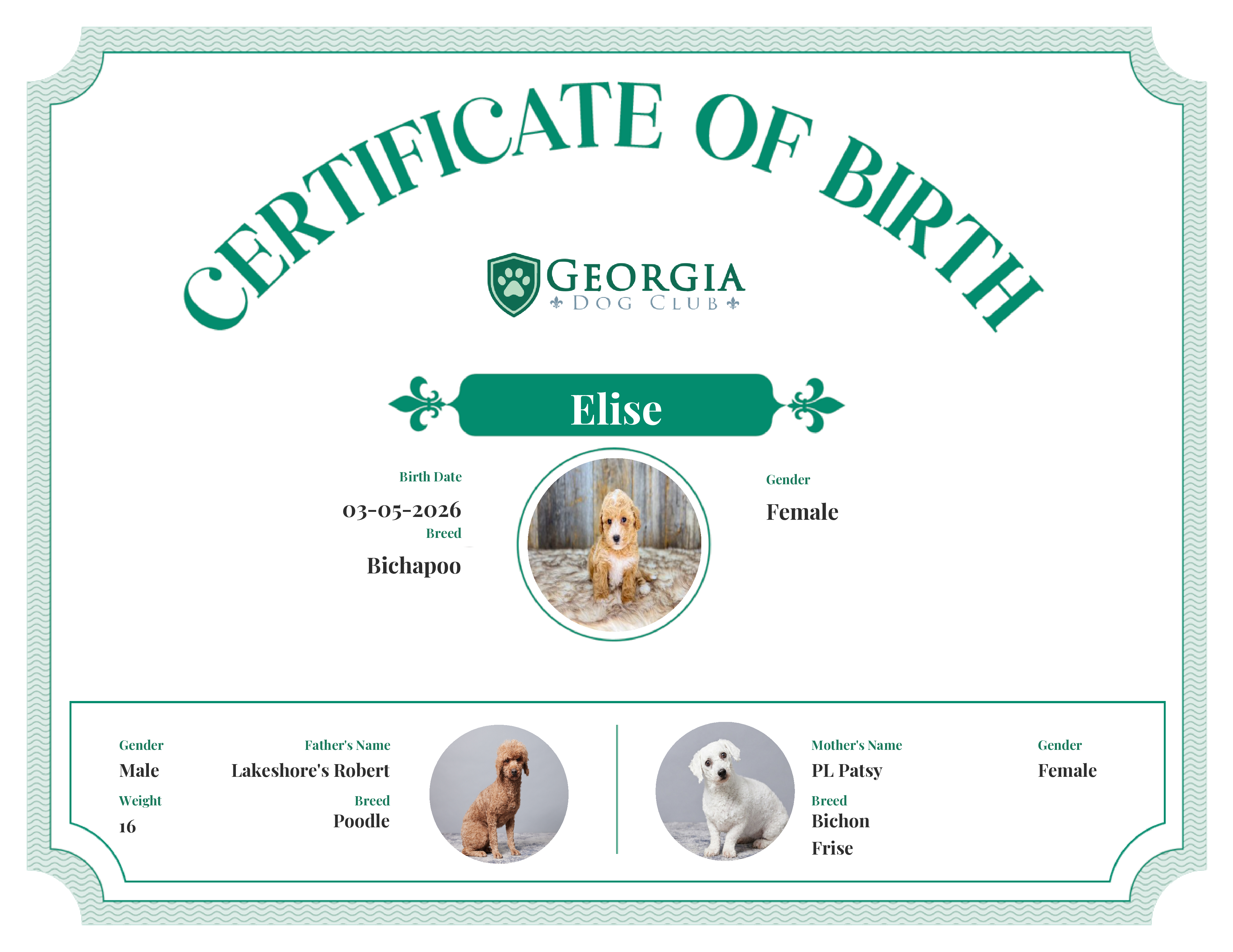 Elise's Birth Certificate