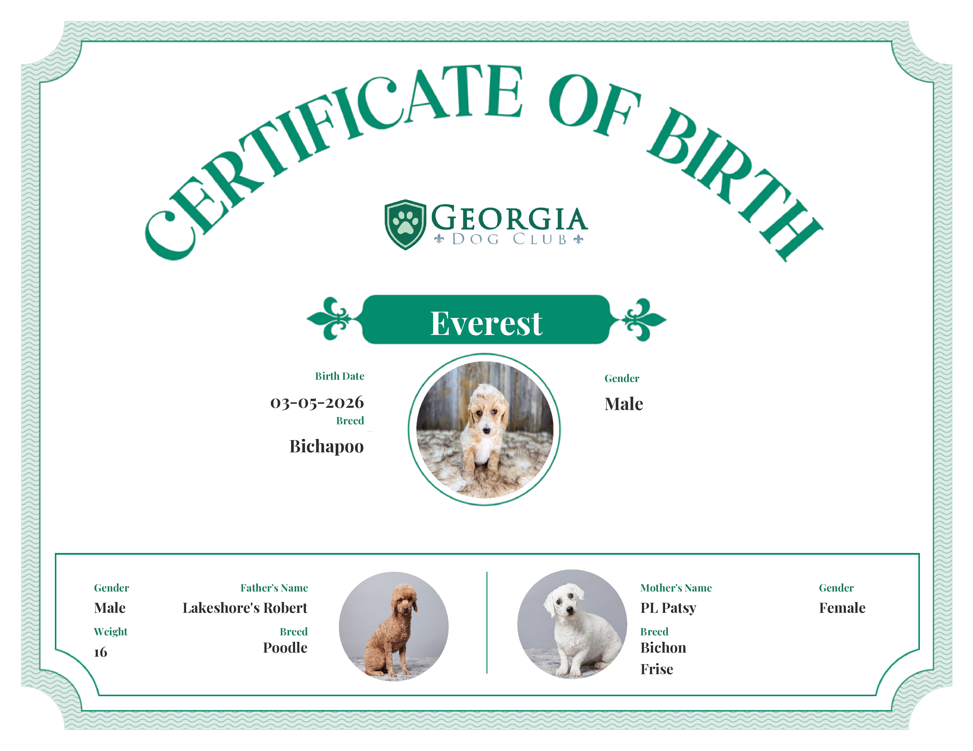Everest's Birth Certificate