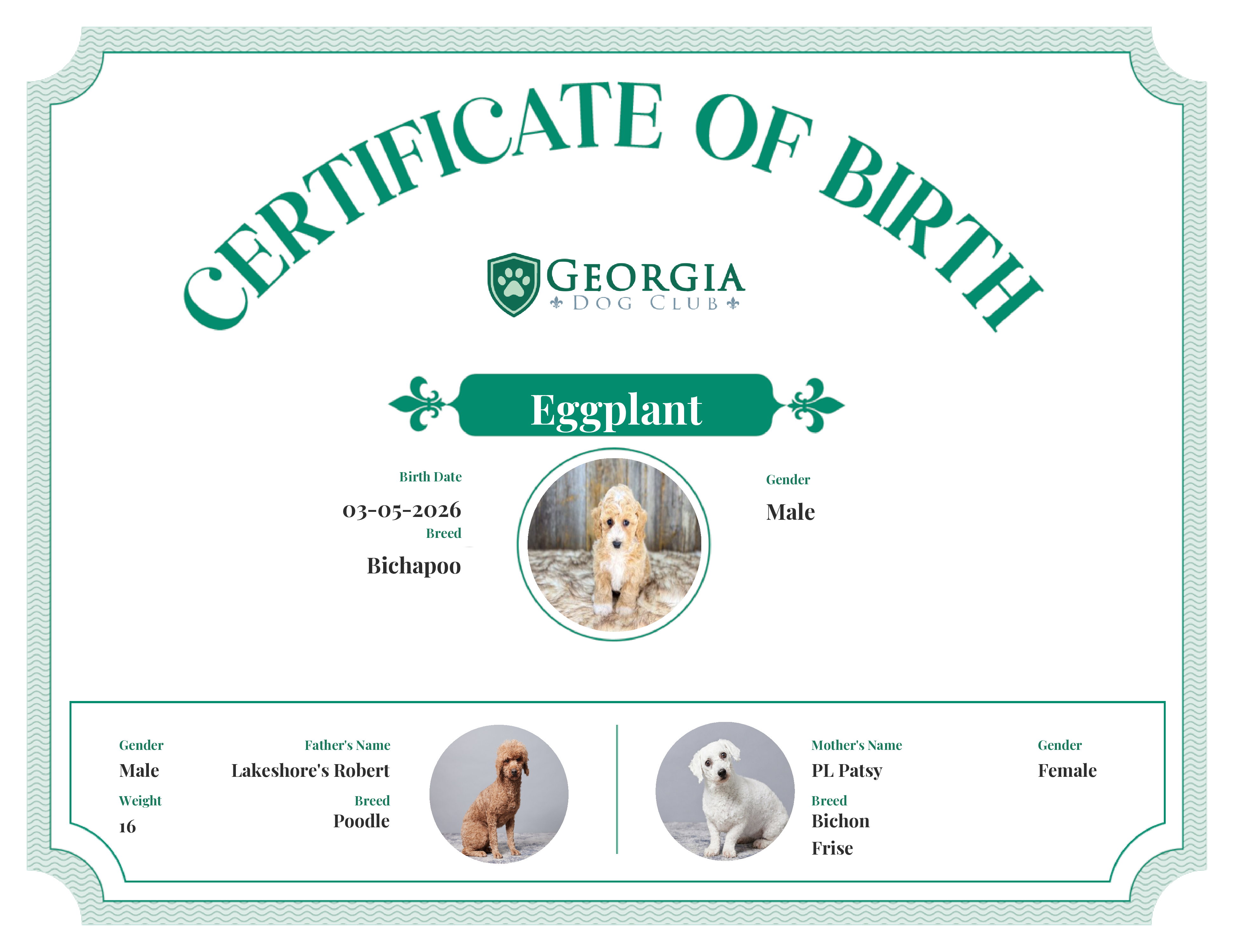 Eggplant's Birth Certificate