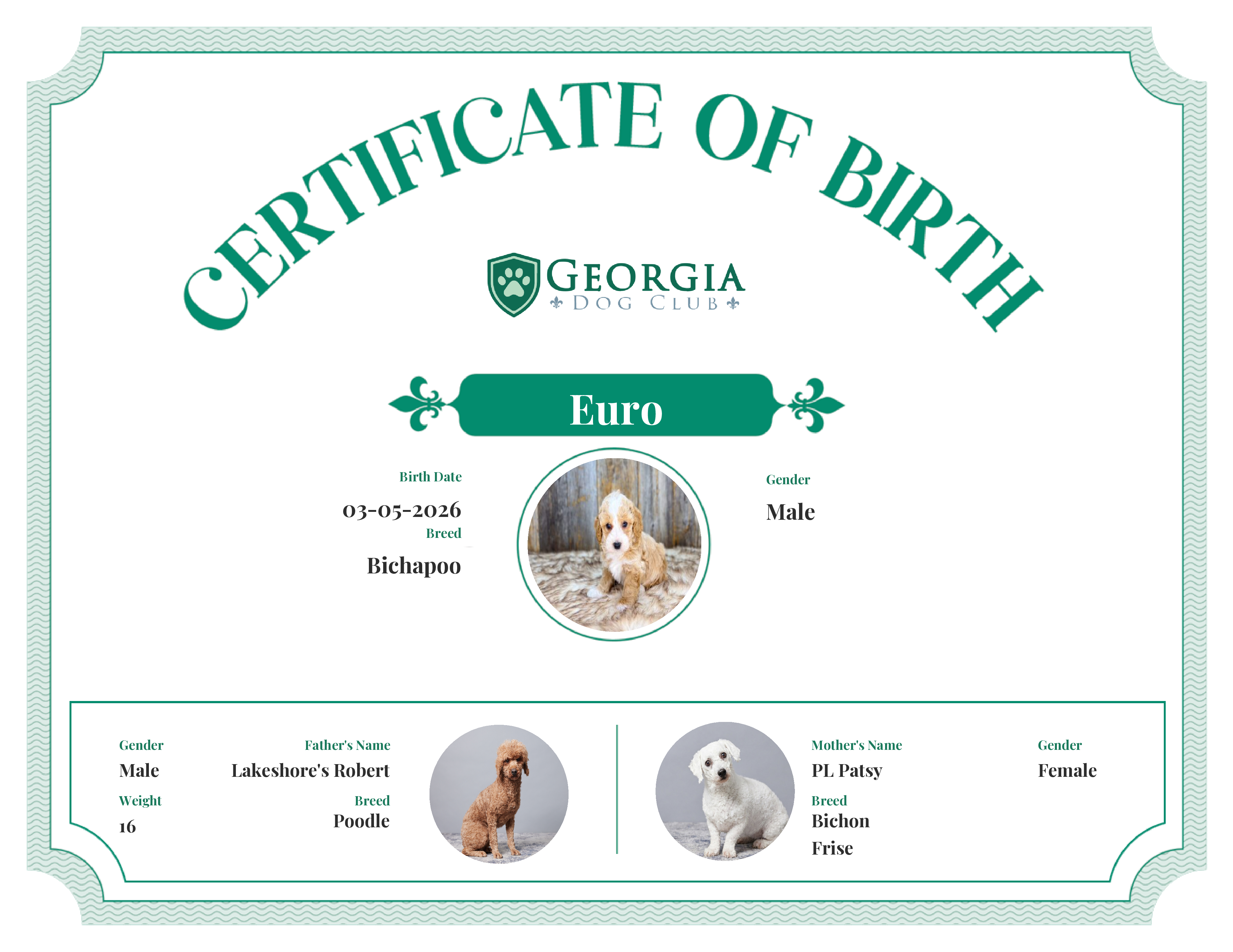 Euro's Birth Certificate