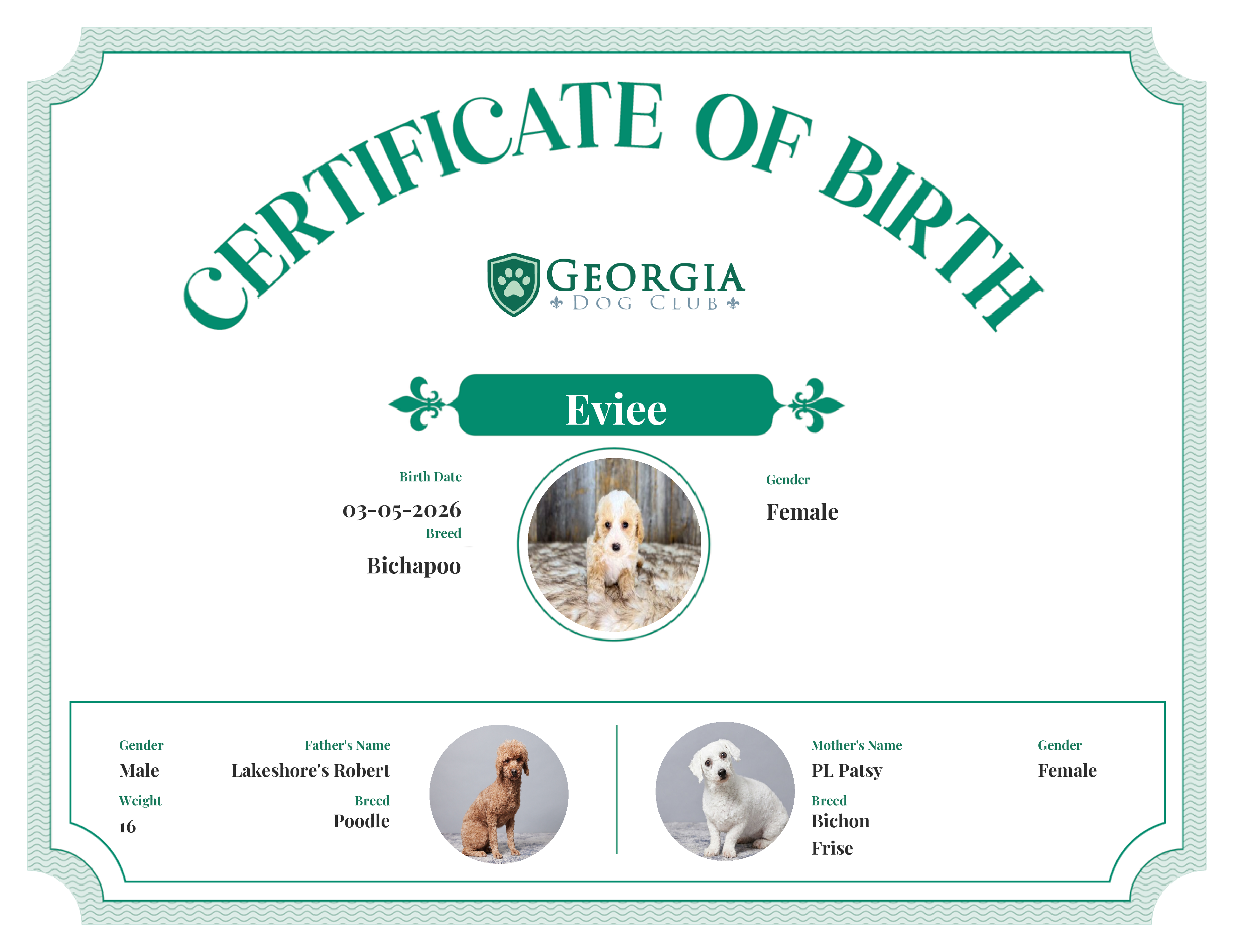 Eviee's Birth Certificate