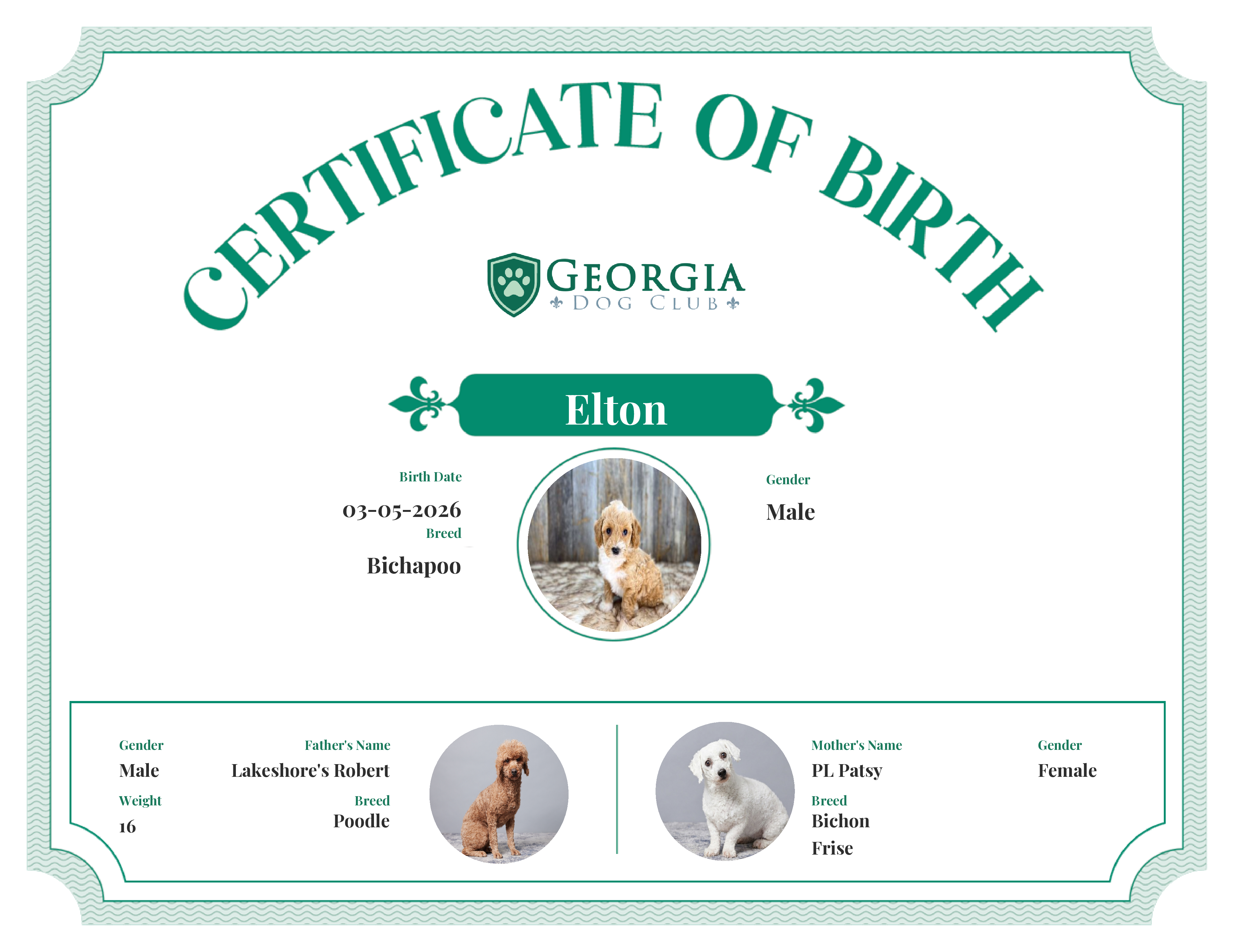 Elton's Birth Certificate