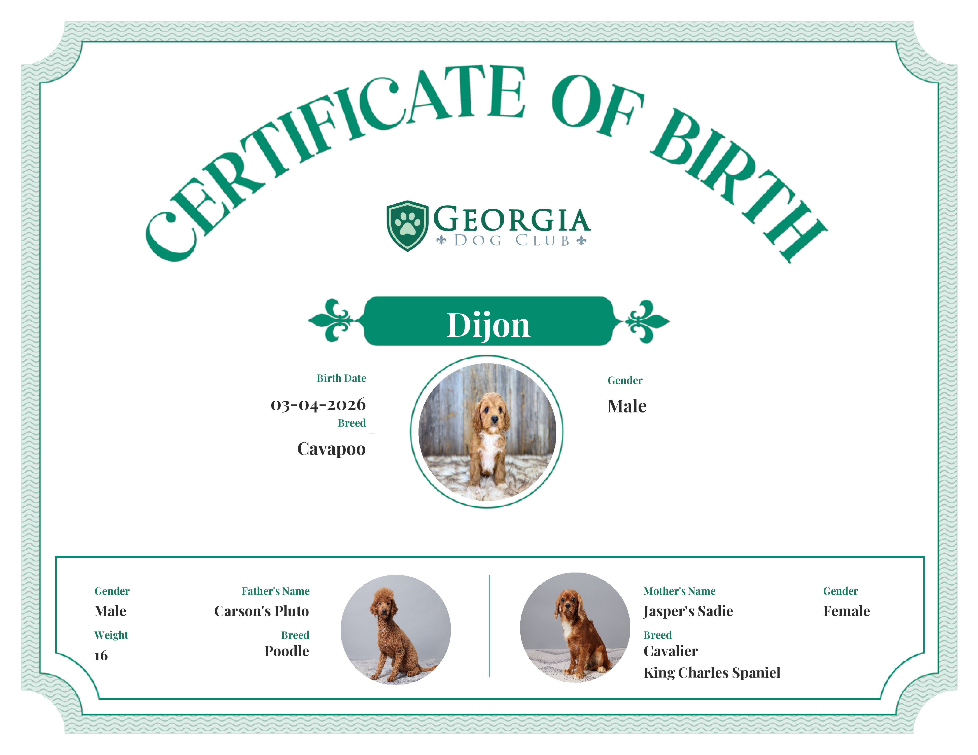 Dijon's Birth Certificate