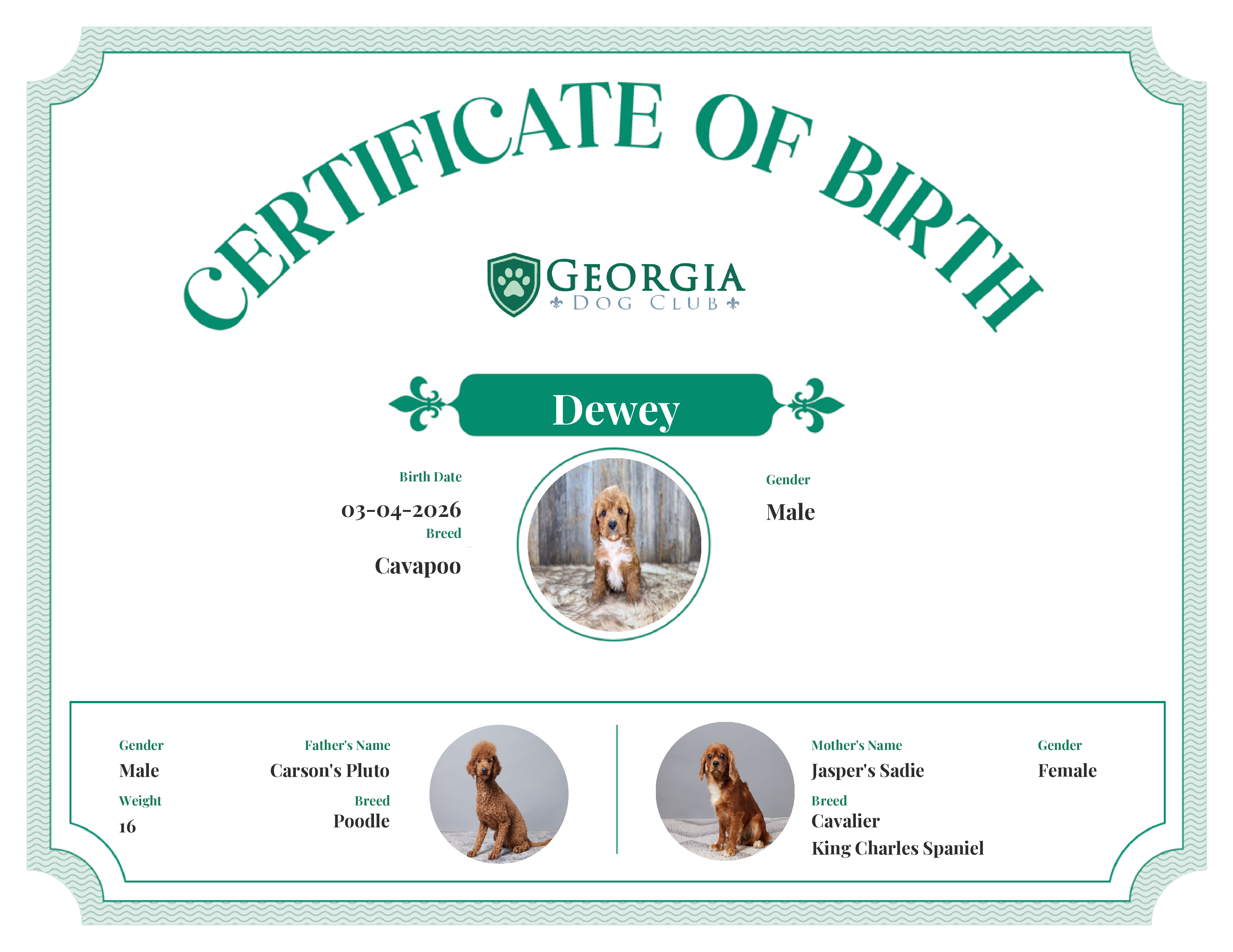 Dewey's Birth Certificate