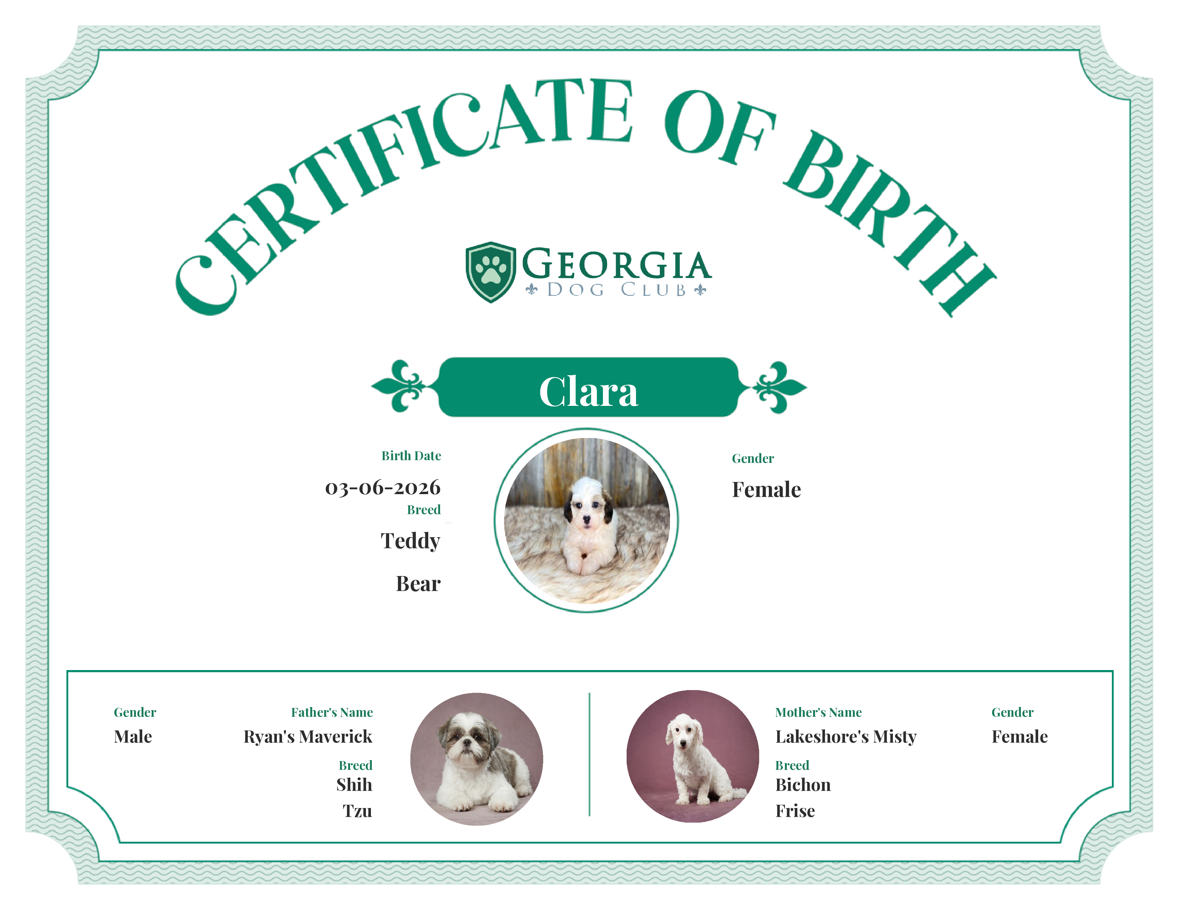 Clara's Birth Certificate