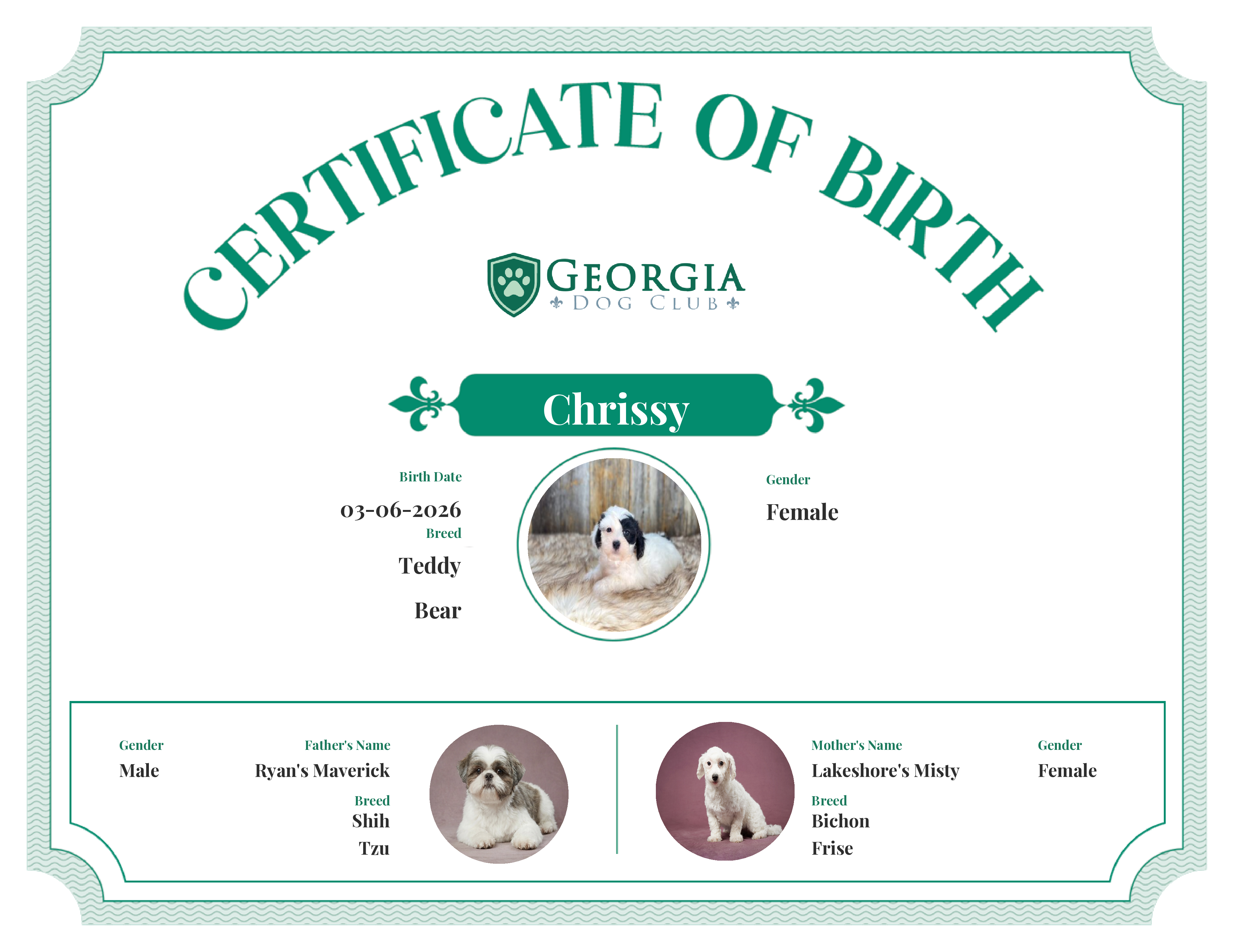 Chrissy's Birth Certificate