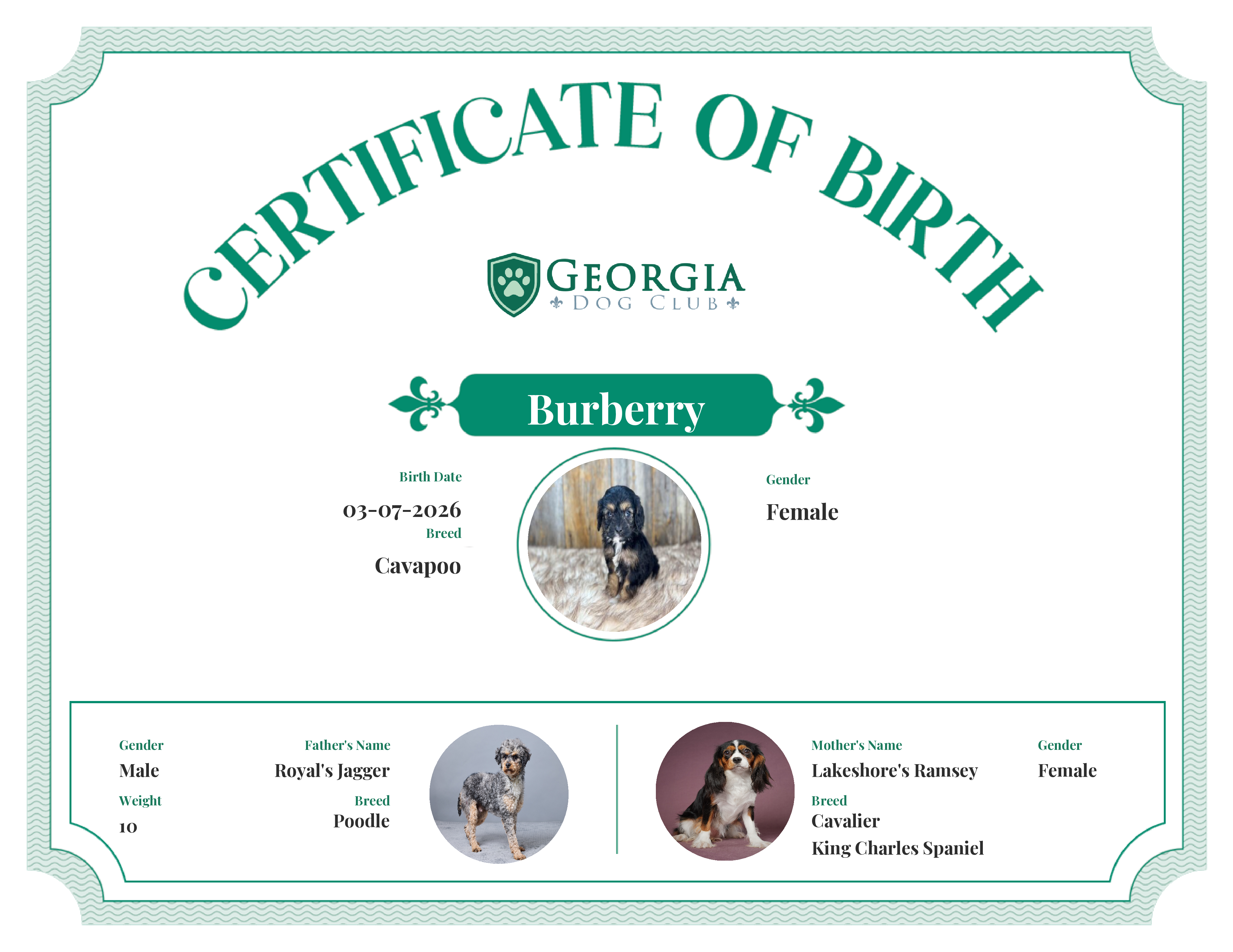 Burberry's Birth Certificate
