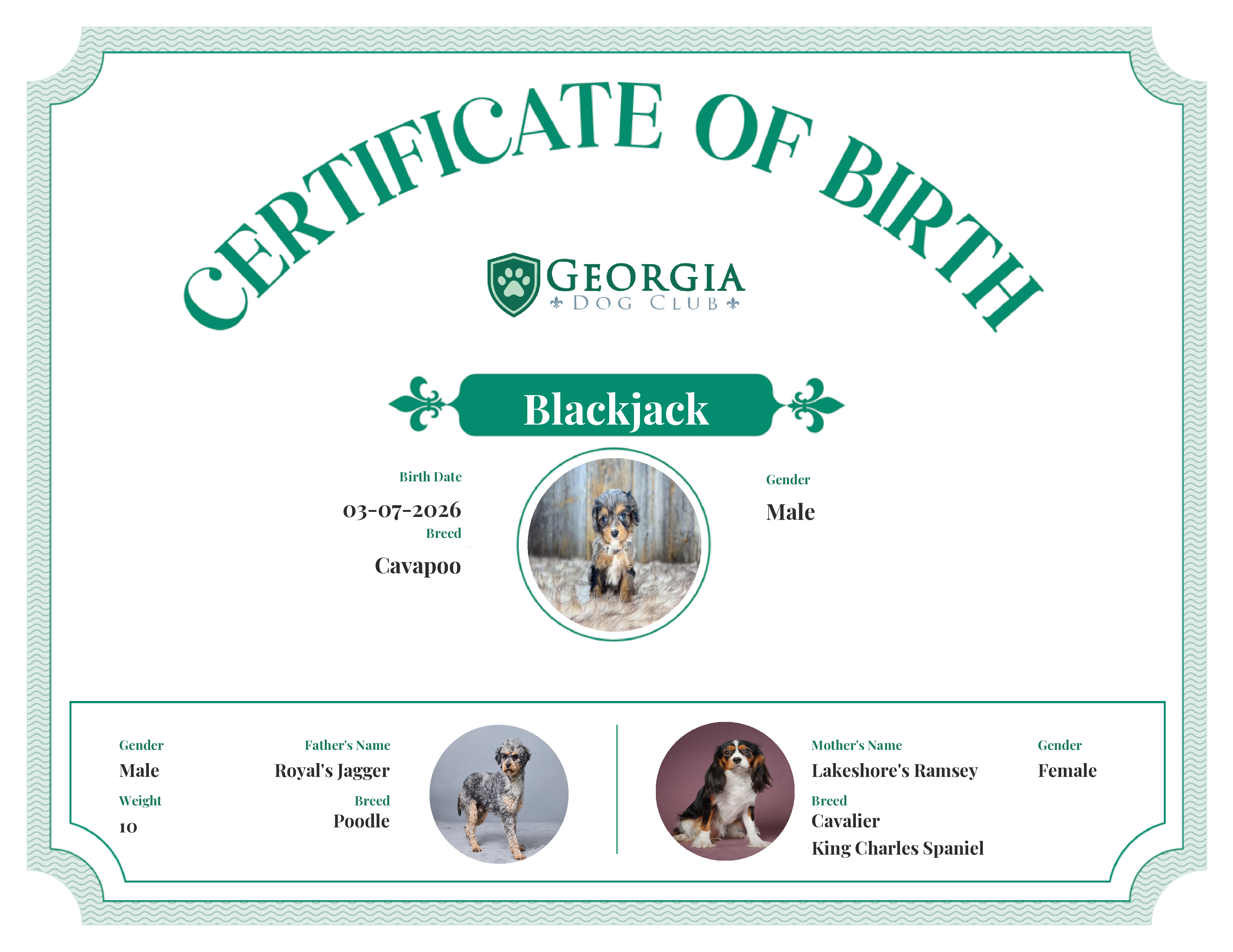 Blackjack's Birth Certificate