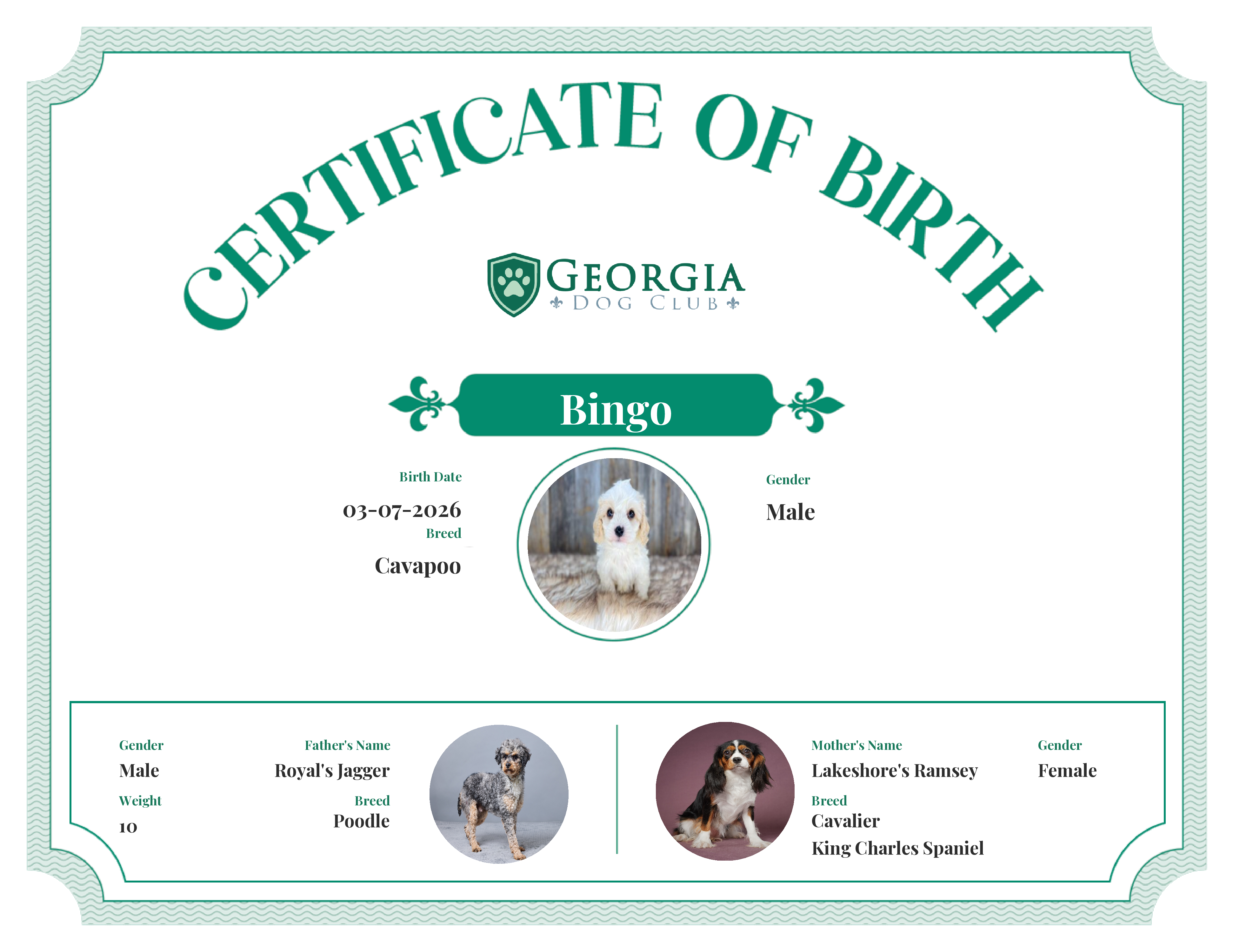 Bingo's Birth Certificate