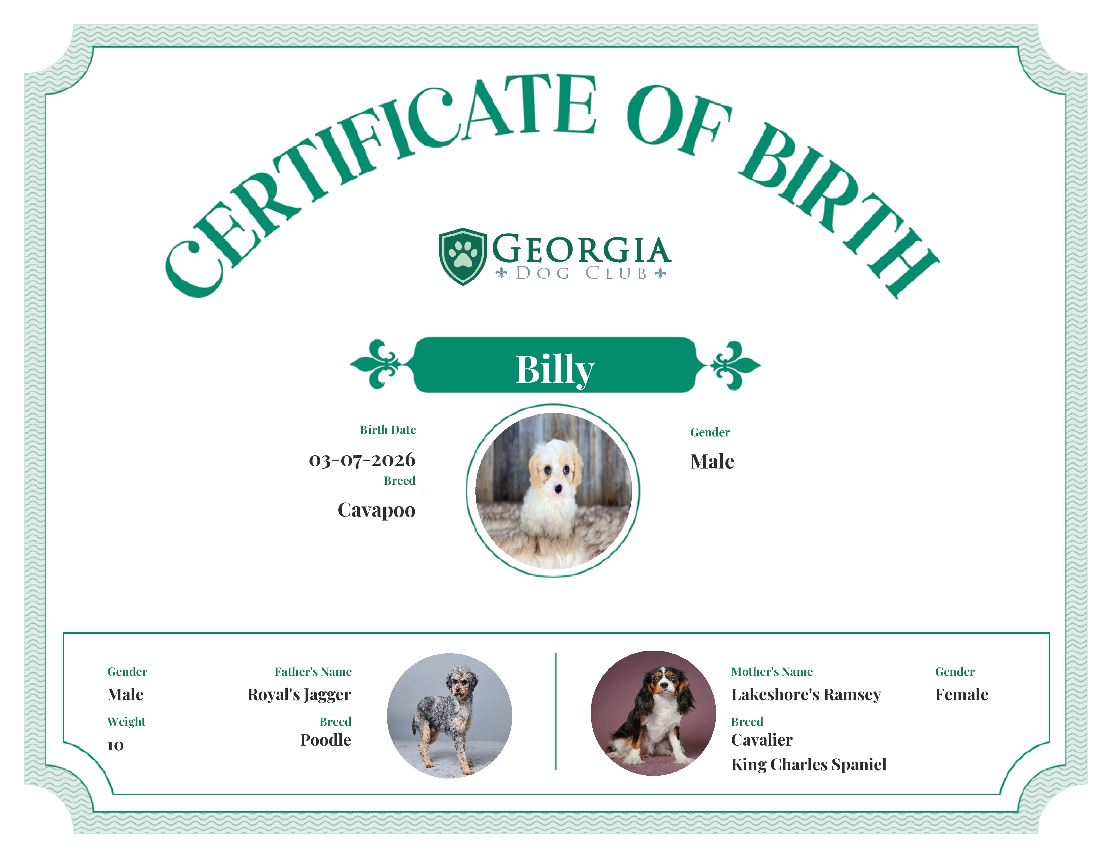 Billy's Birth Certificate