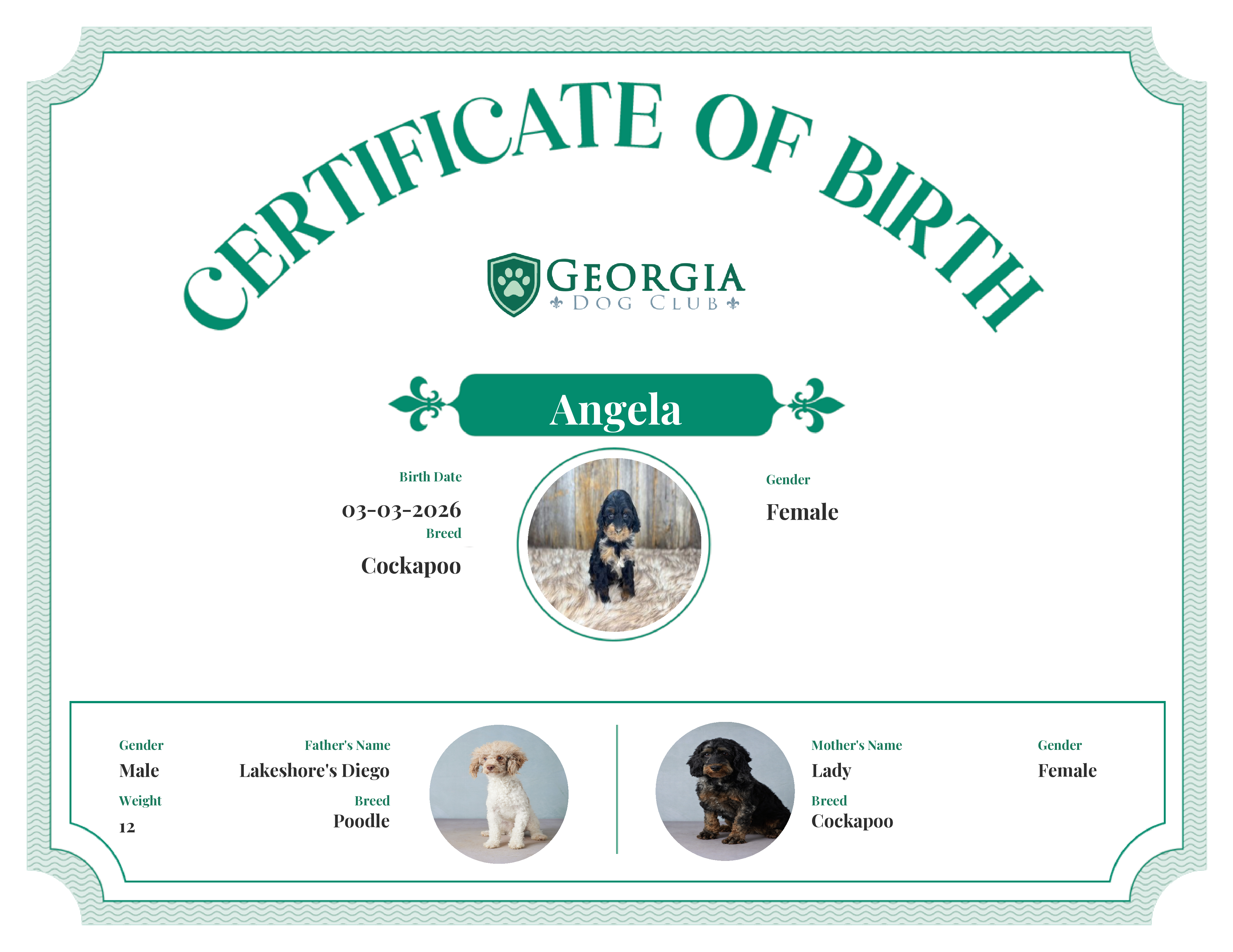 Angela's Birth Certificate