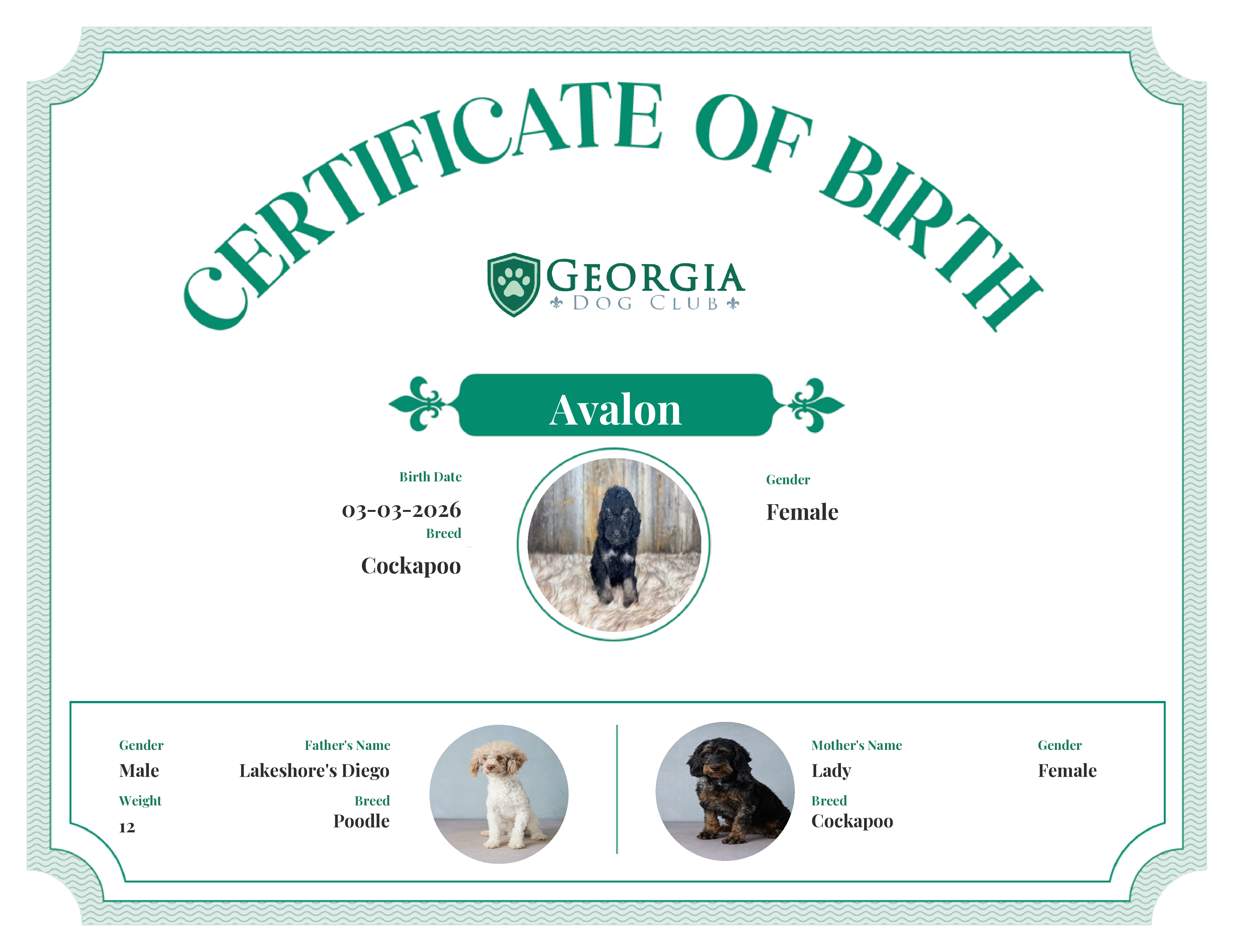 Avalon's Birth Certificate