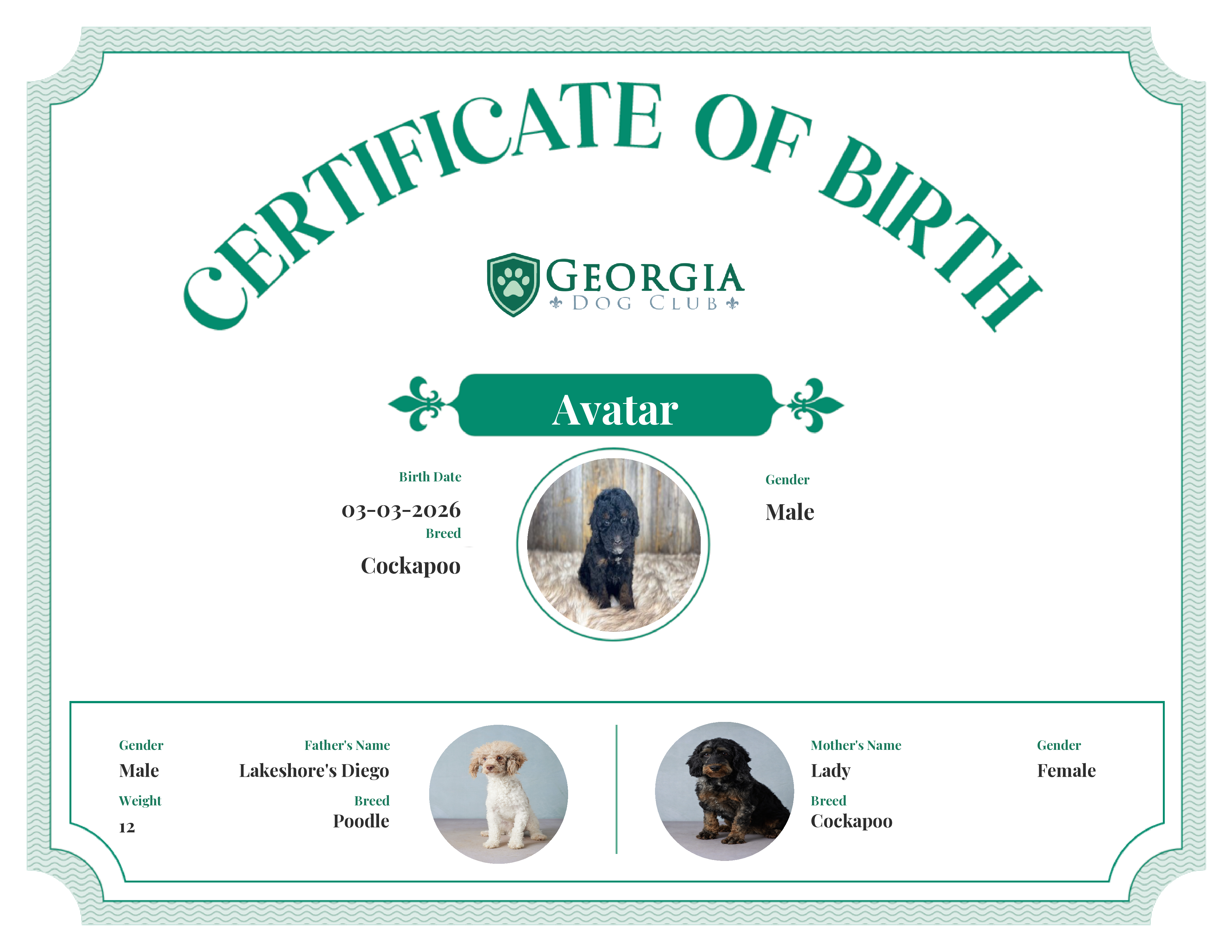 Avatar's Birth Certificate