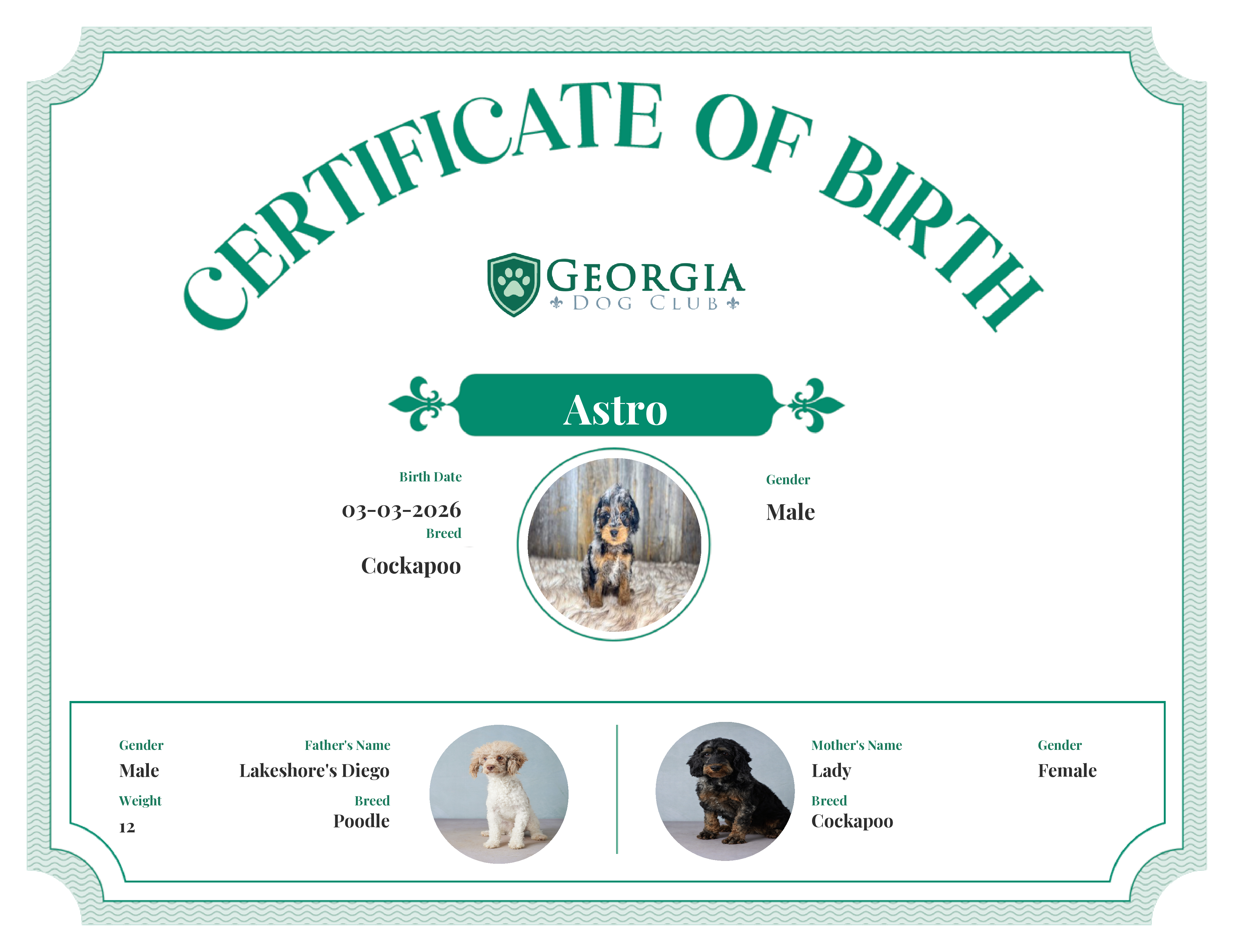 Astro's Birth Certificate