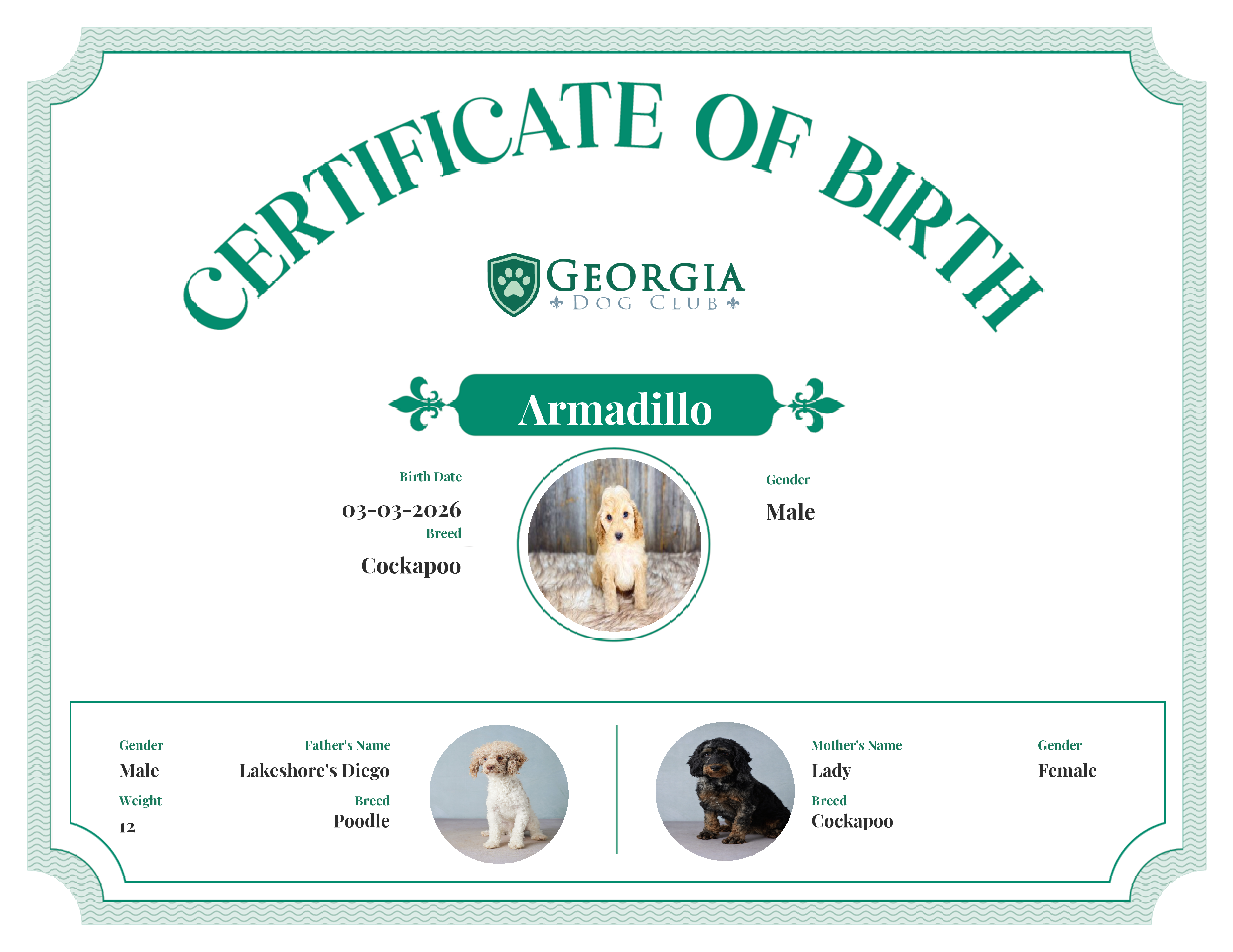 Armadillo's Birth Certificate