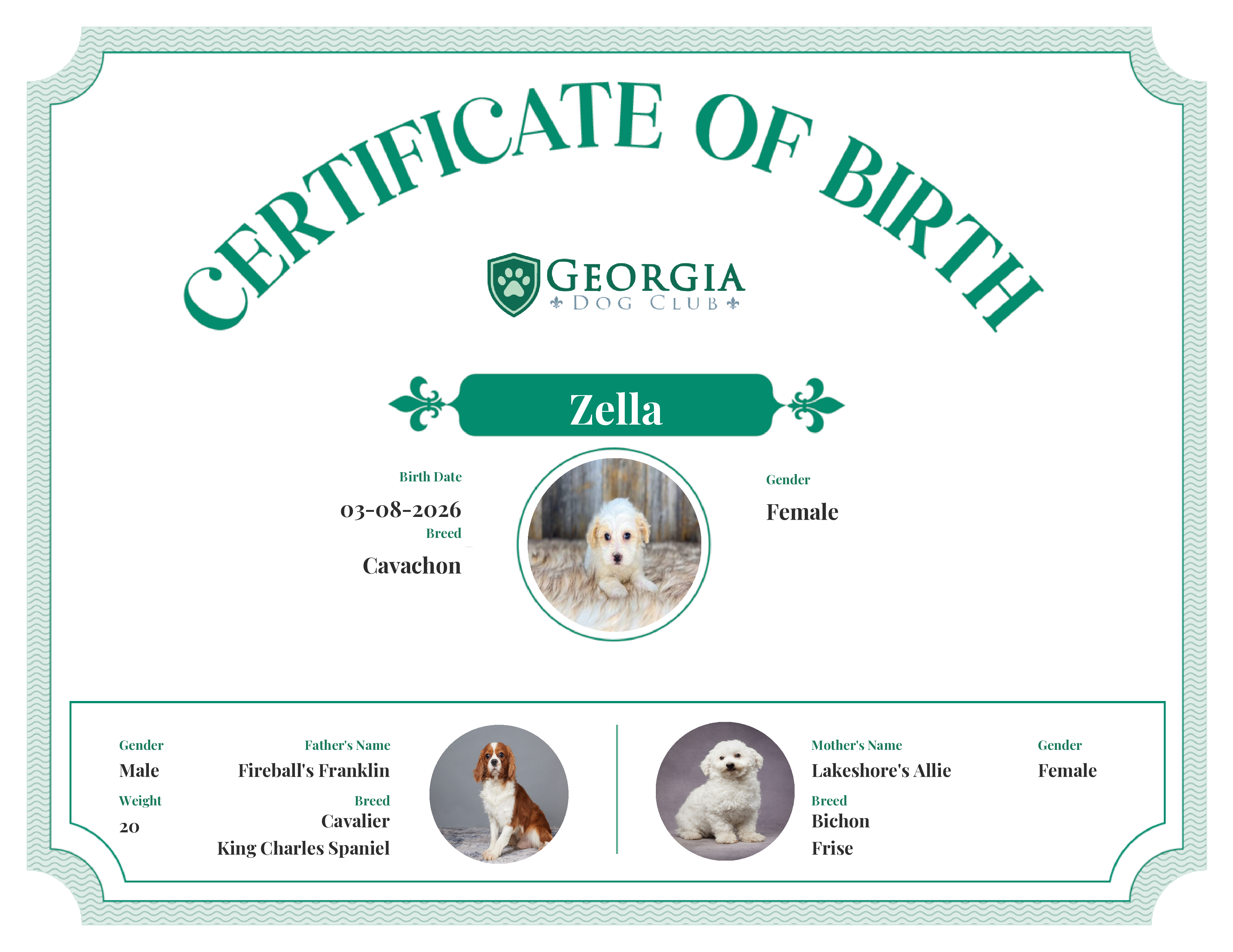 Zella's Birth Certificate