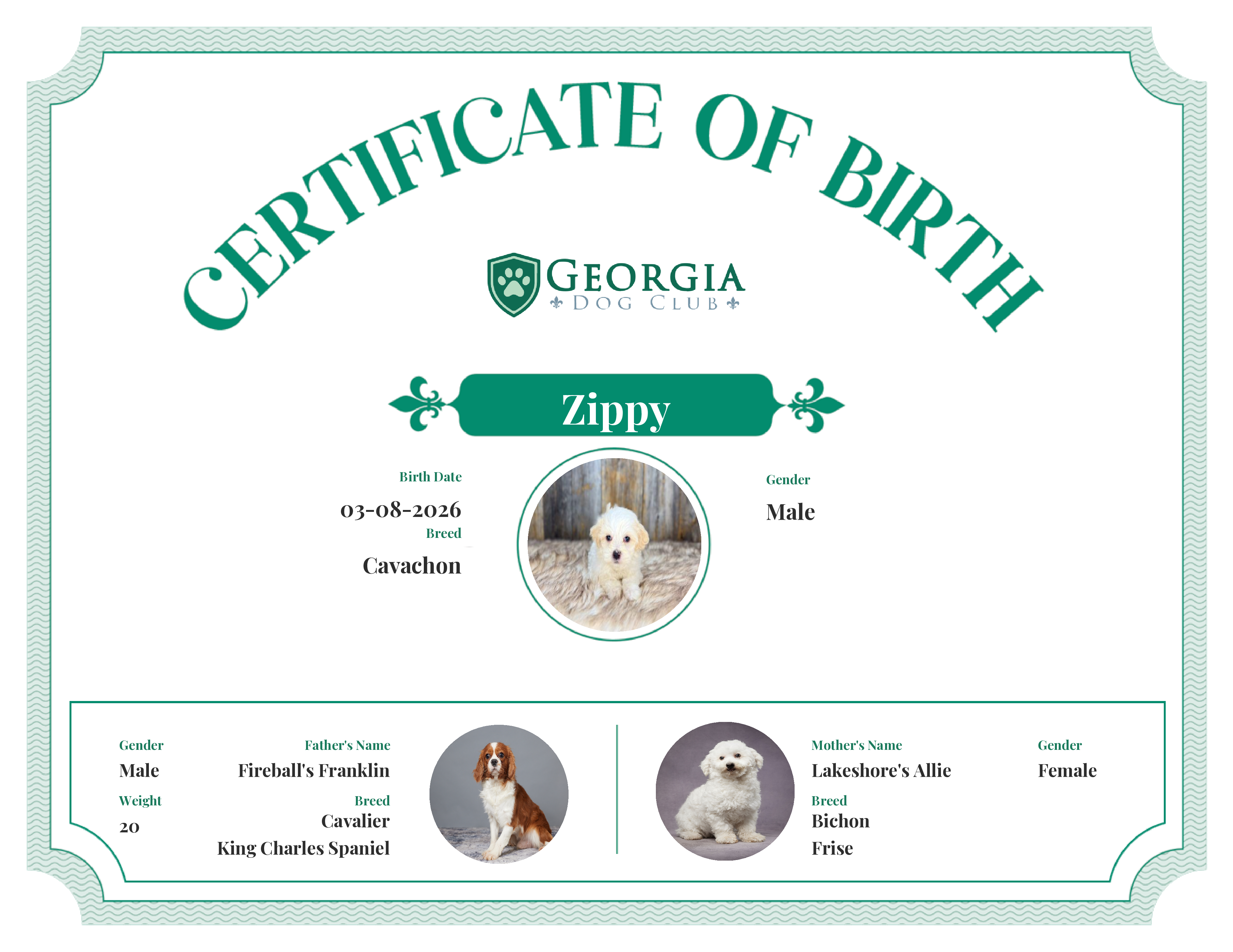 Zippy's Birth Certificate