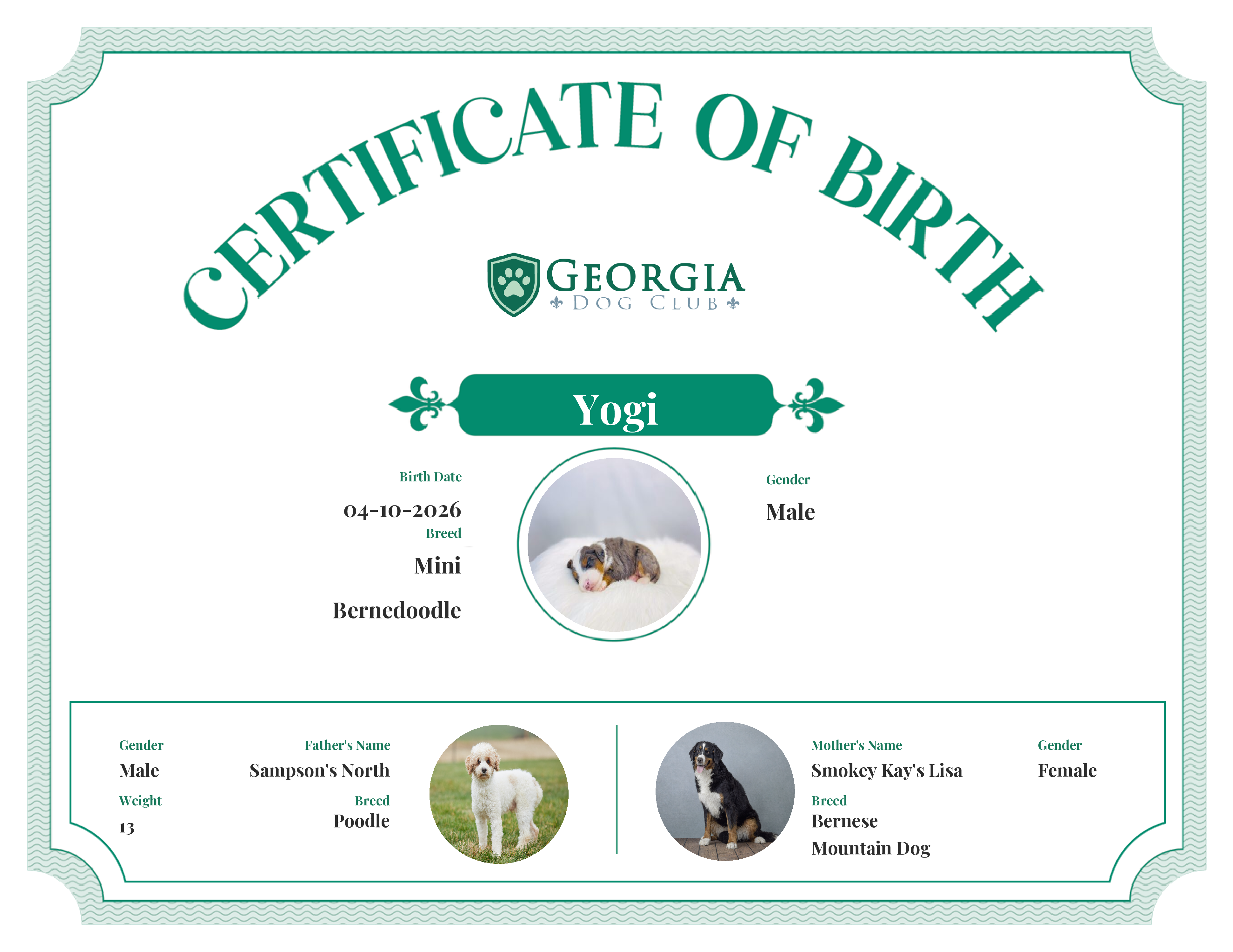 Yogi's Birth Certificate