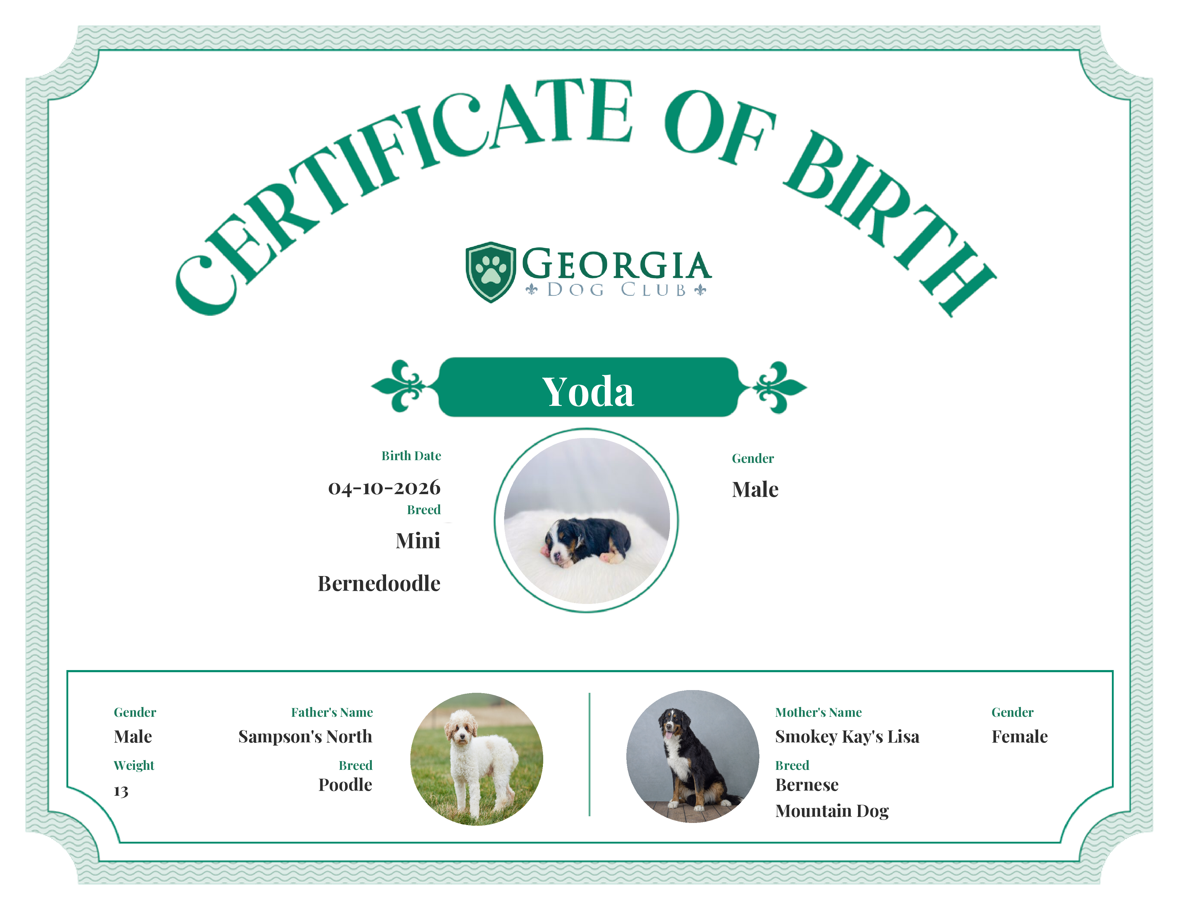 Yoda's Birth Certificate