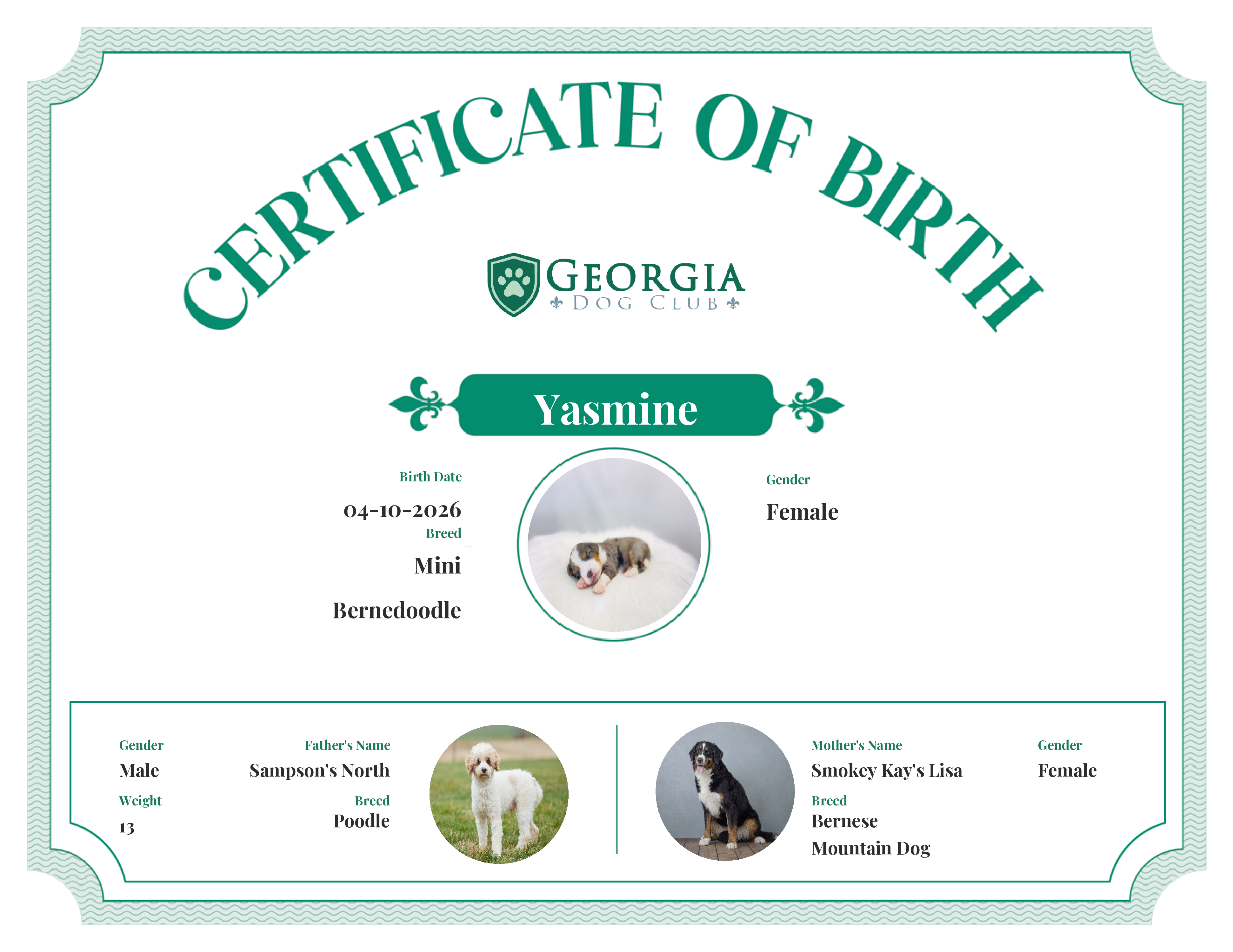 Yasmine's Birth Certificate