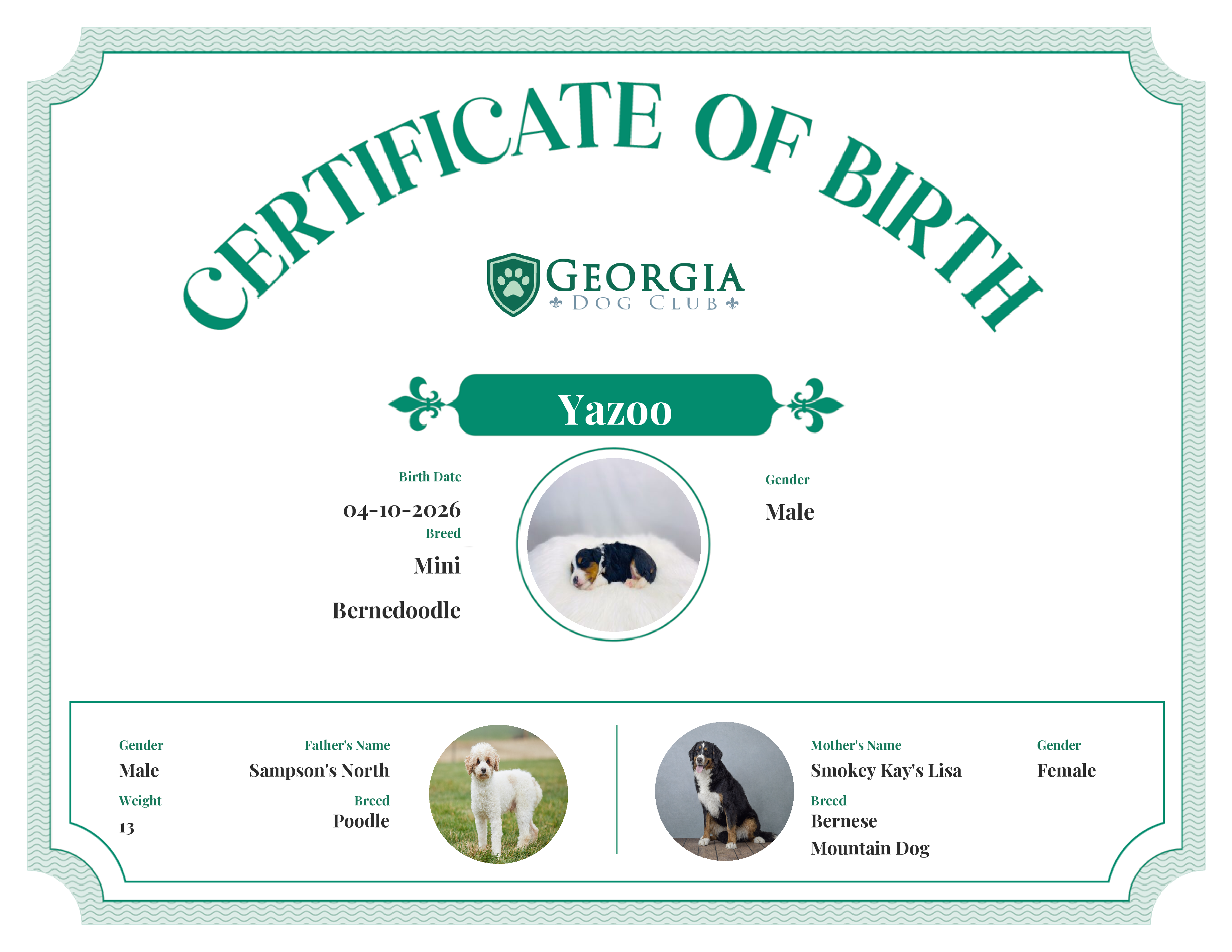 Yazoo's Birth Certificate