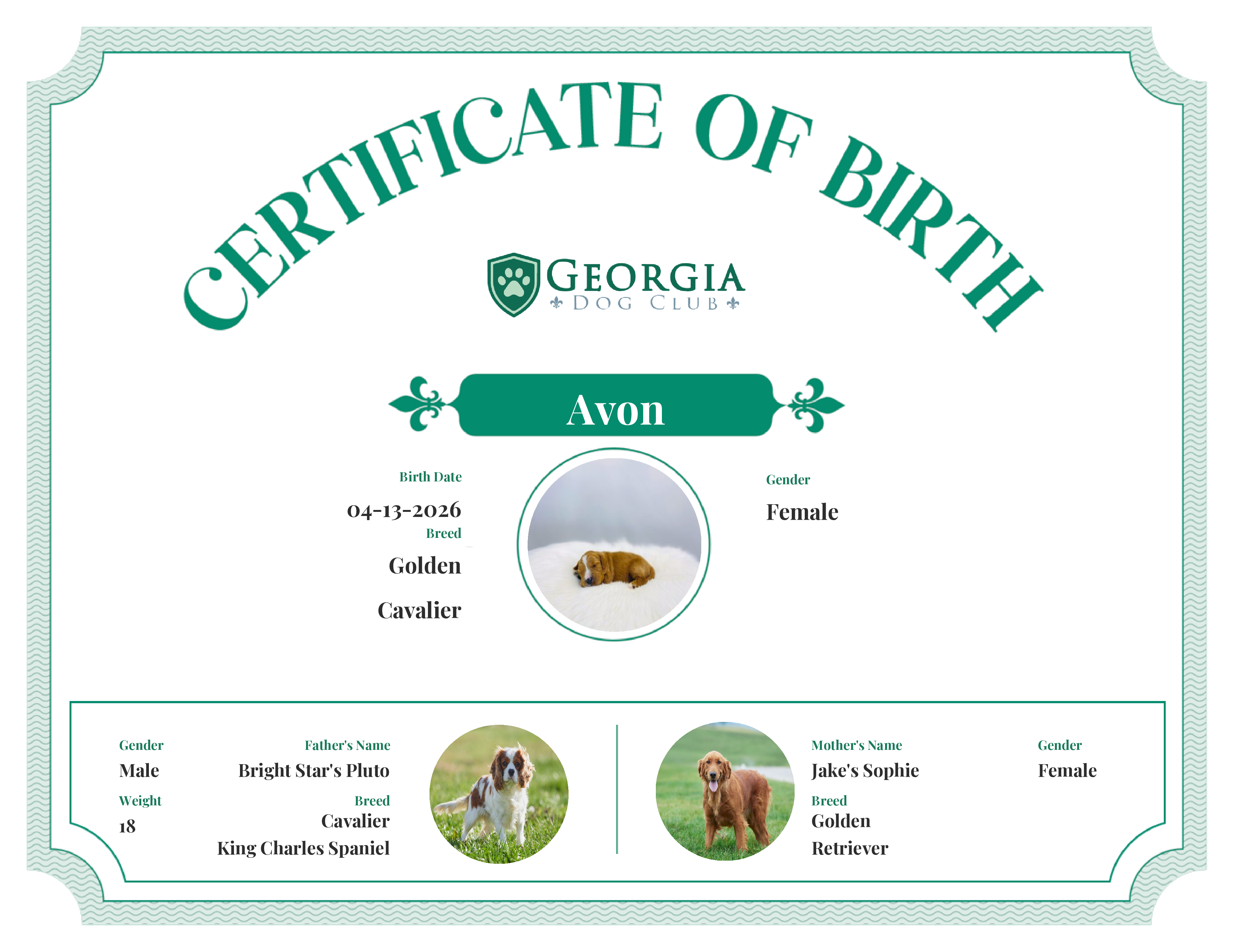 Avon's Birth Certificate