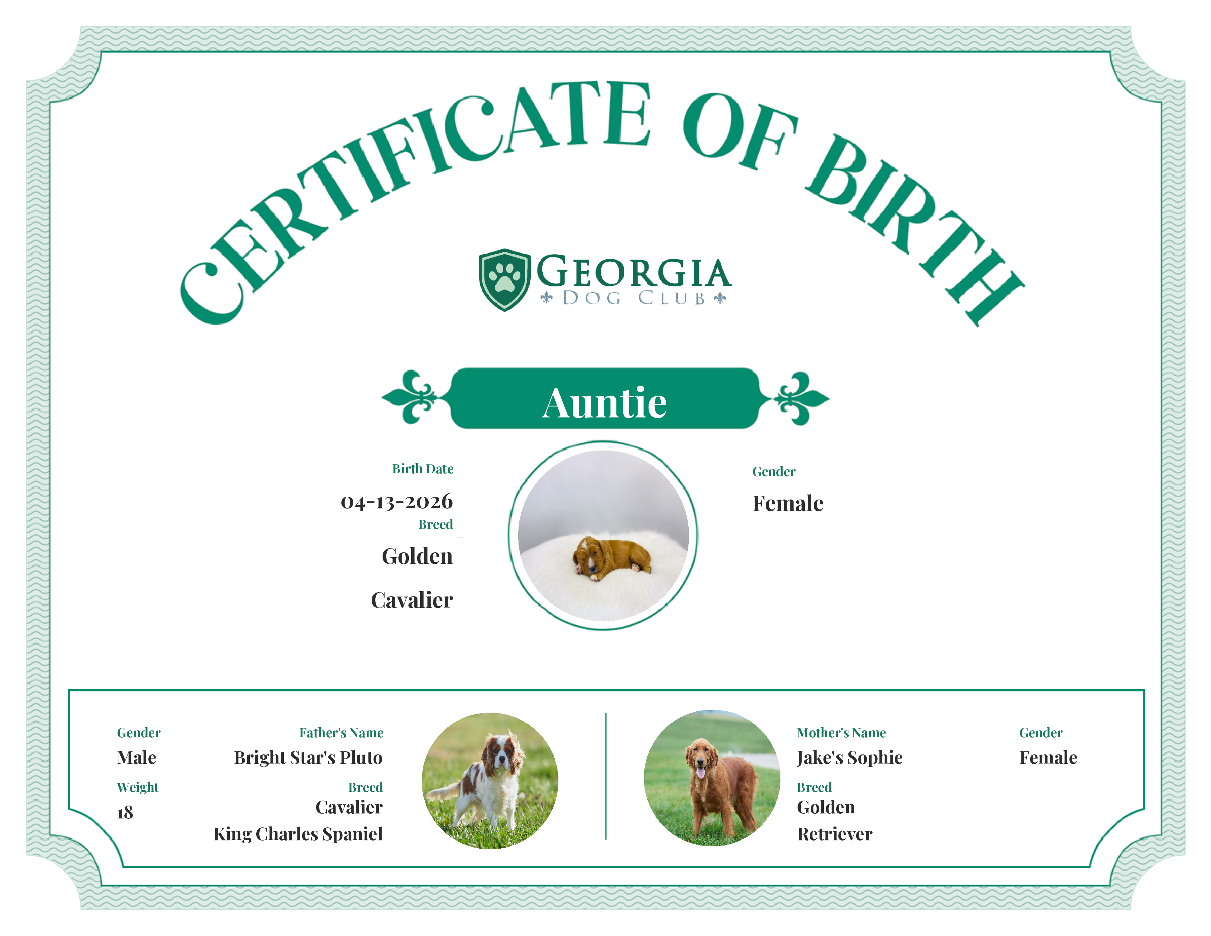 Auntie's Birth Certificate