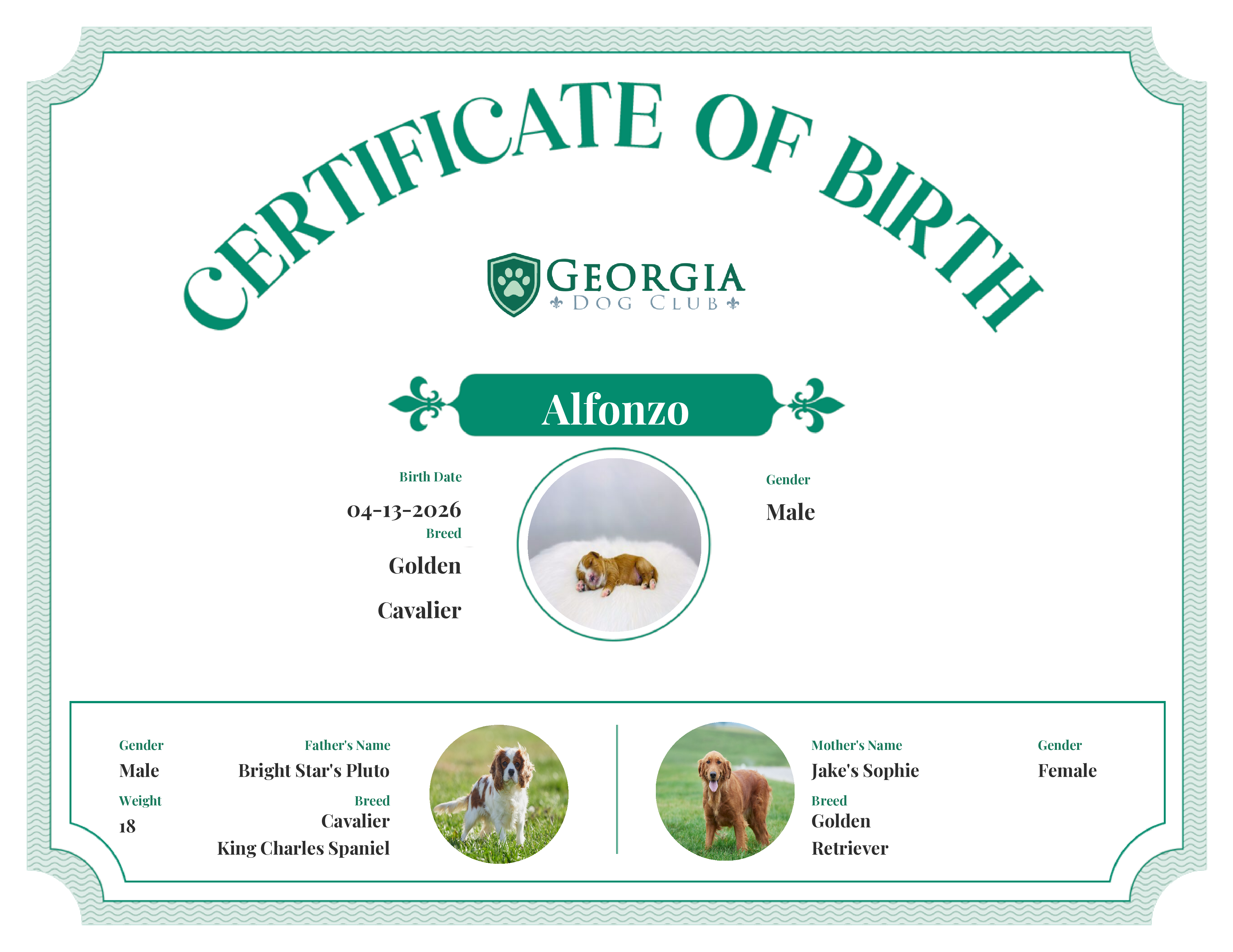 Alfonzo's Birth Certificate