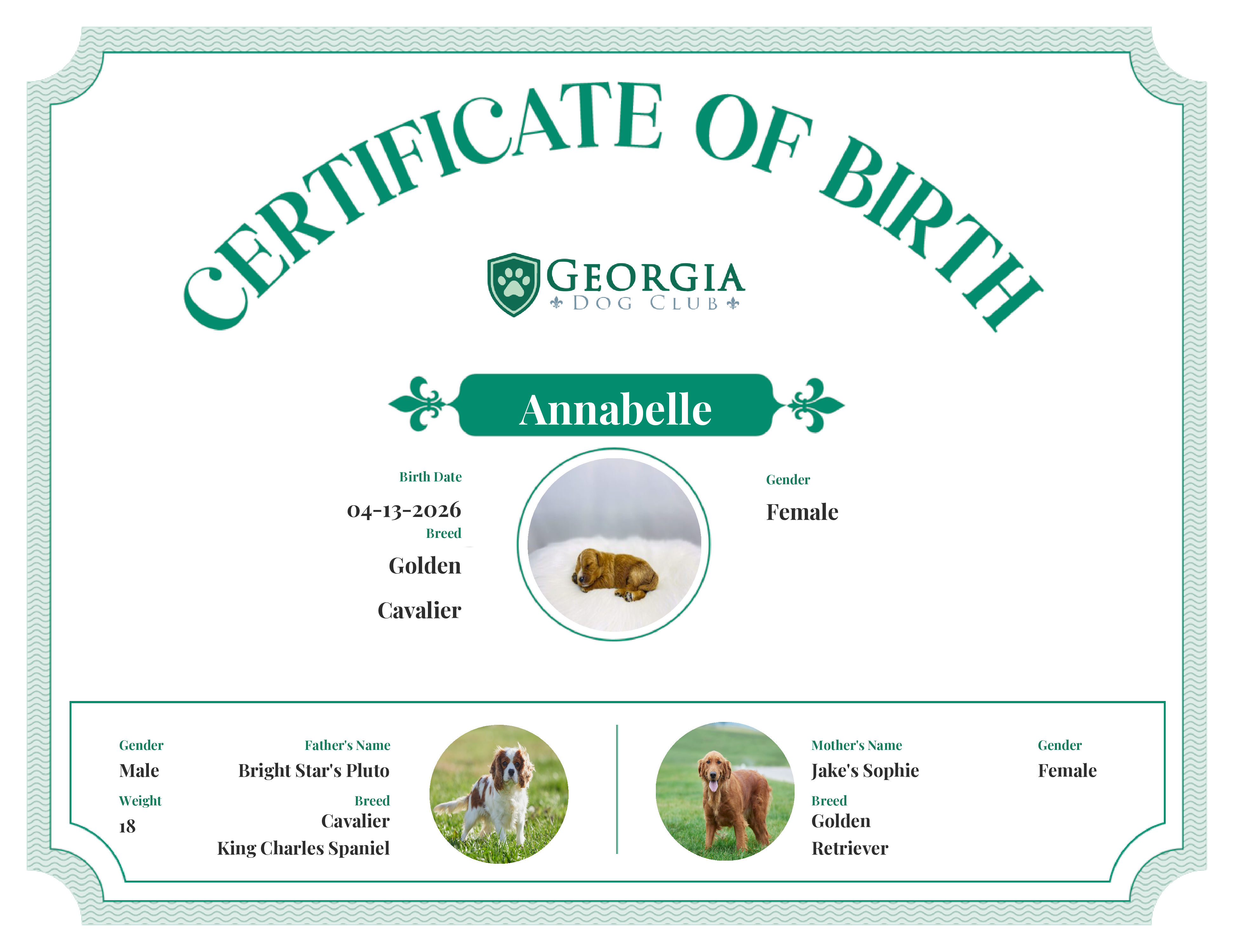 Annabelle's Birth Certificate