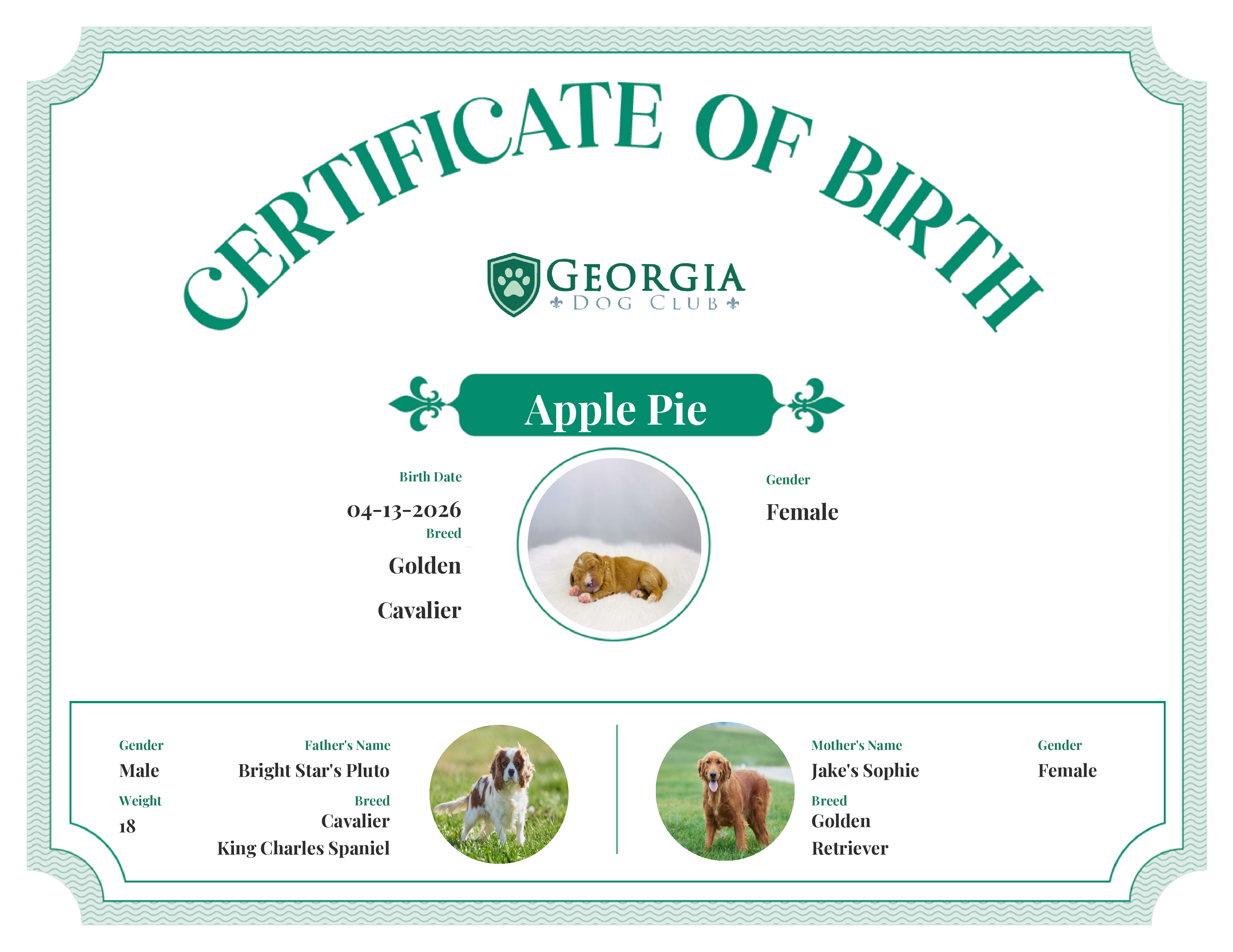 Apple Pie's Birth Certificate