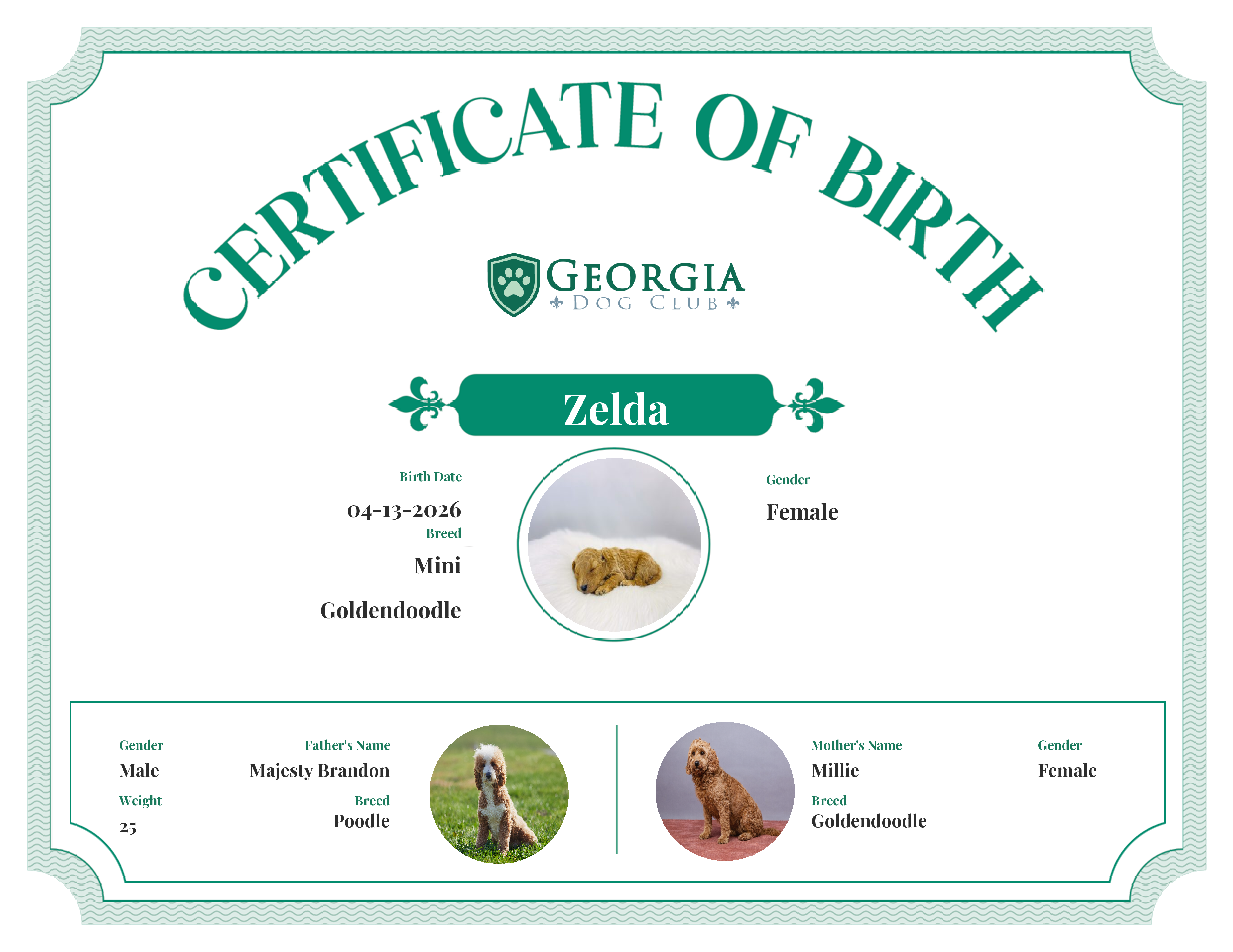 Zelda's Birth Certificate