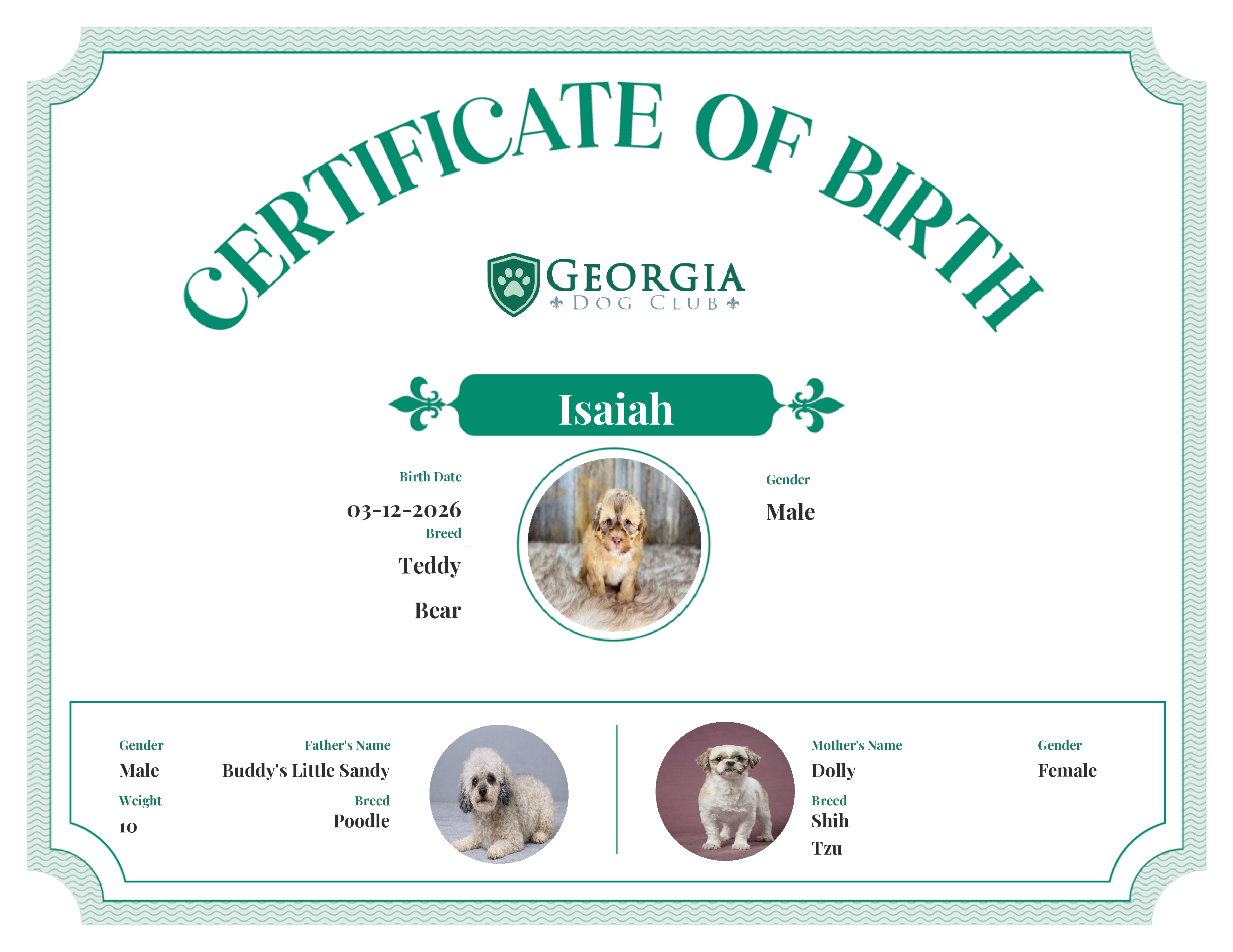 Isaiah's Birth Certificate