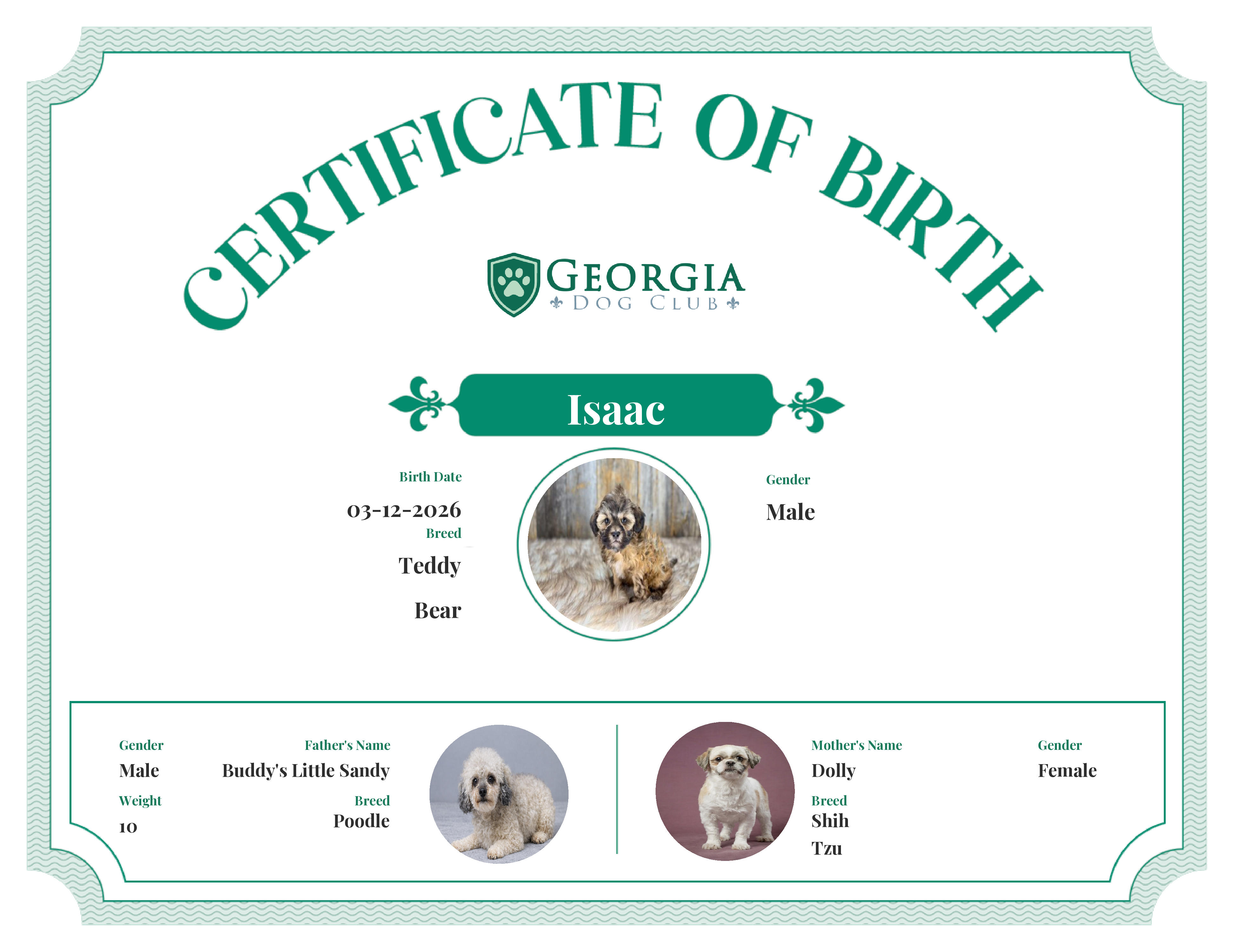 Isaac's Birth Certificate