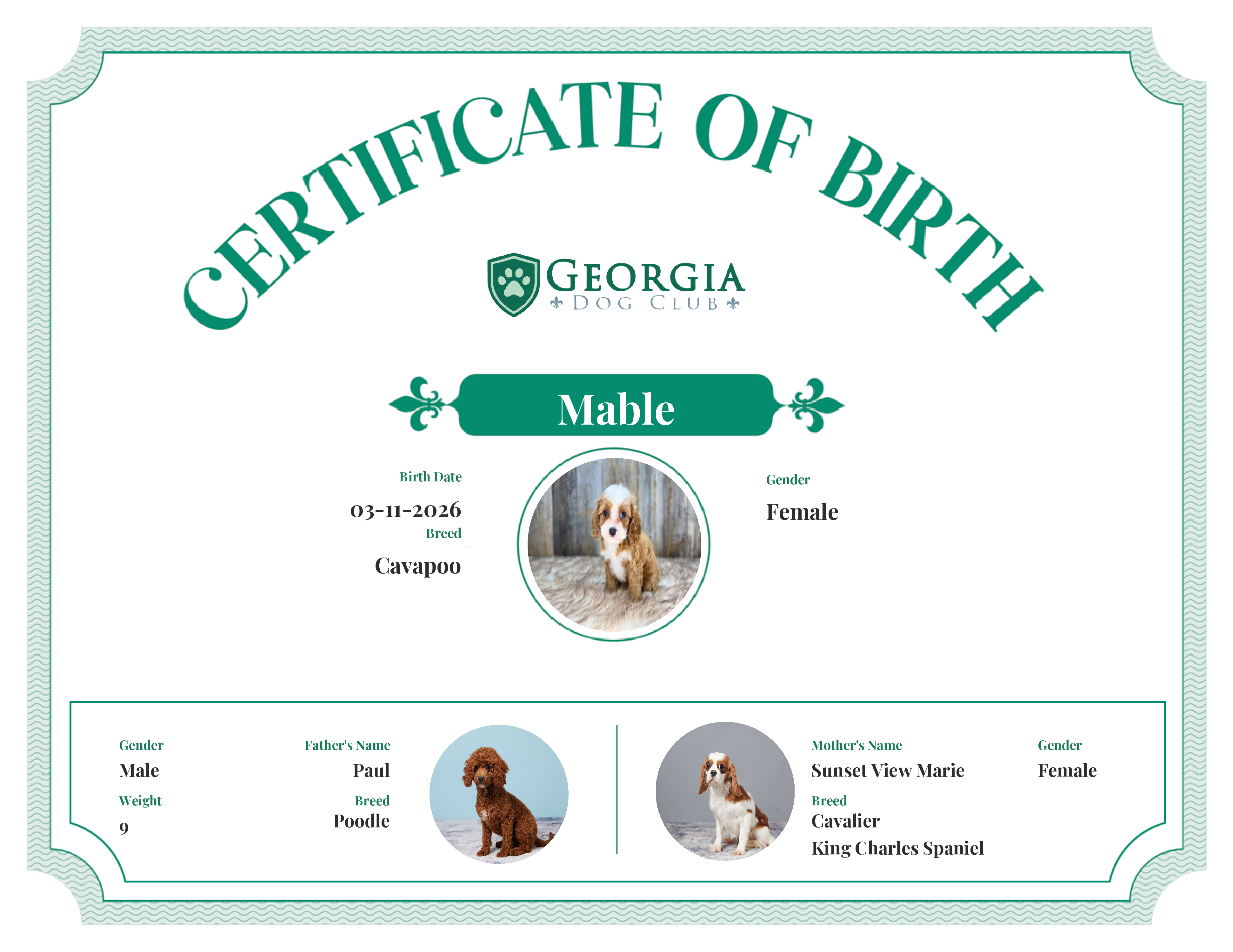 Mable's Birth Certificate