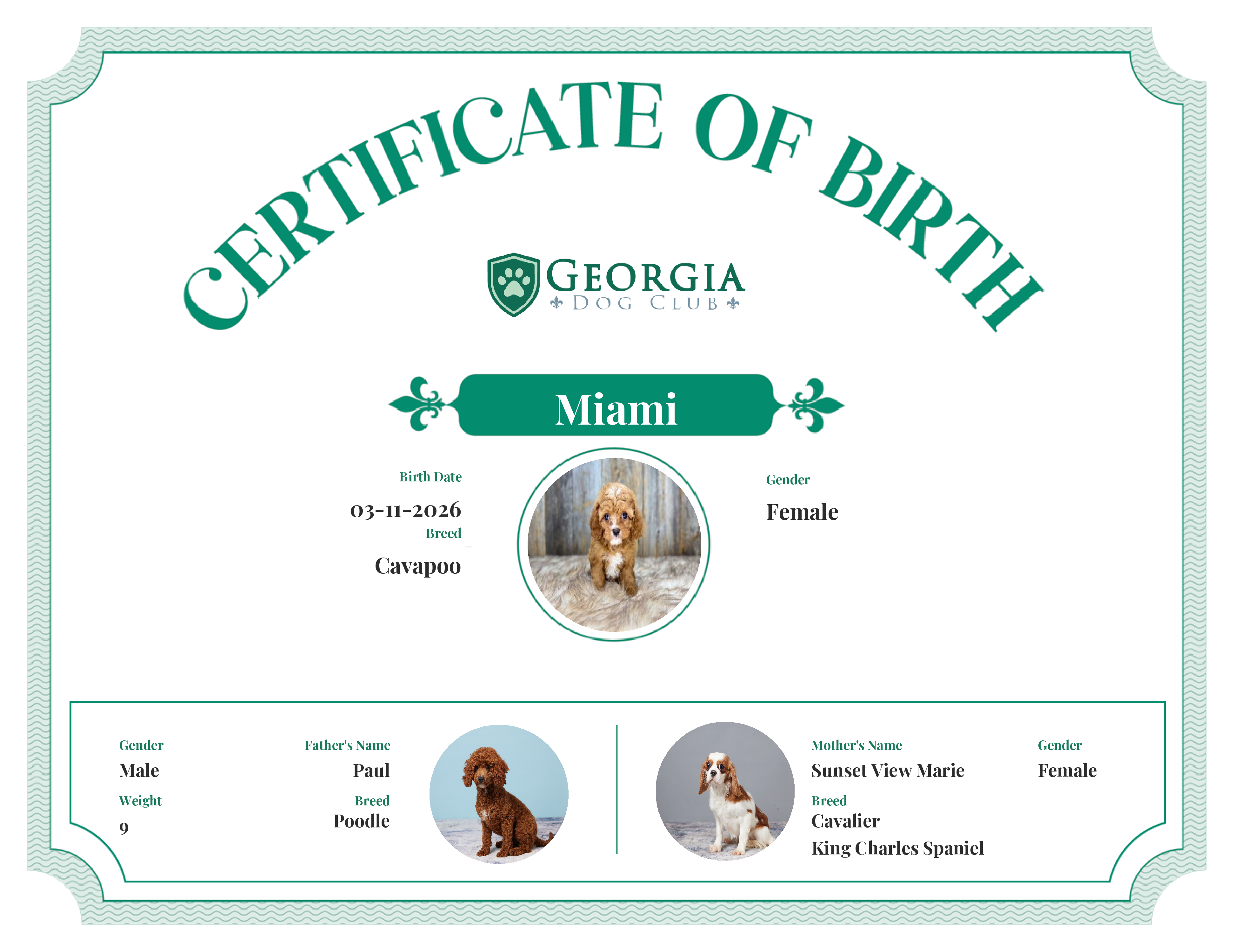 Miami's Birth Certificate