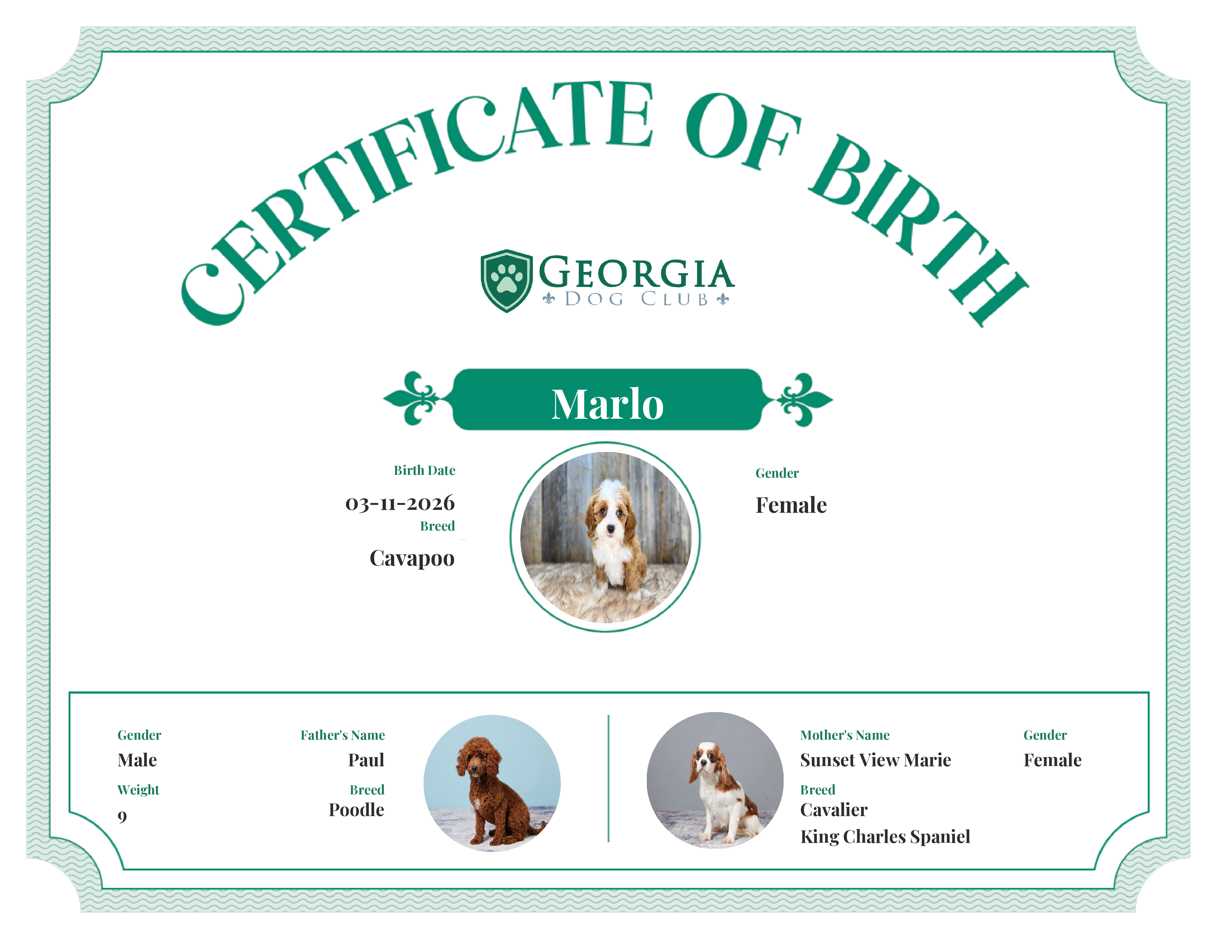 Marlo's Birth Certificate