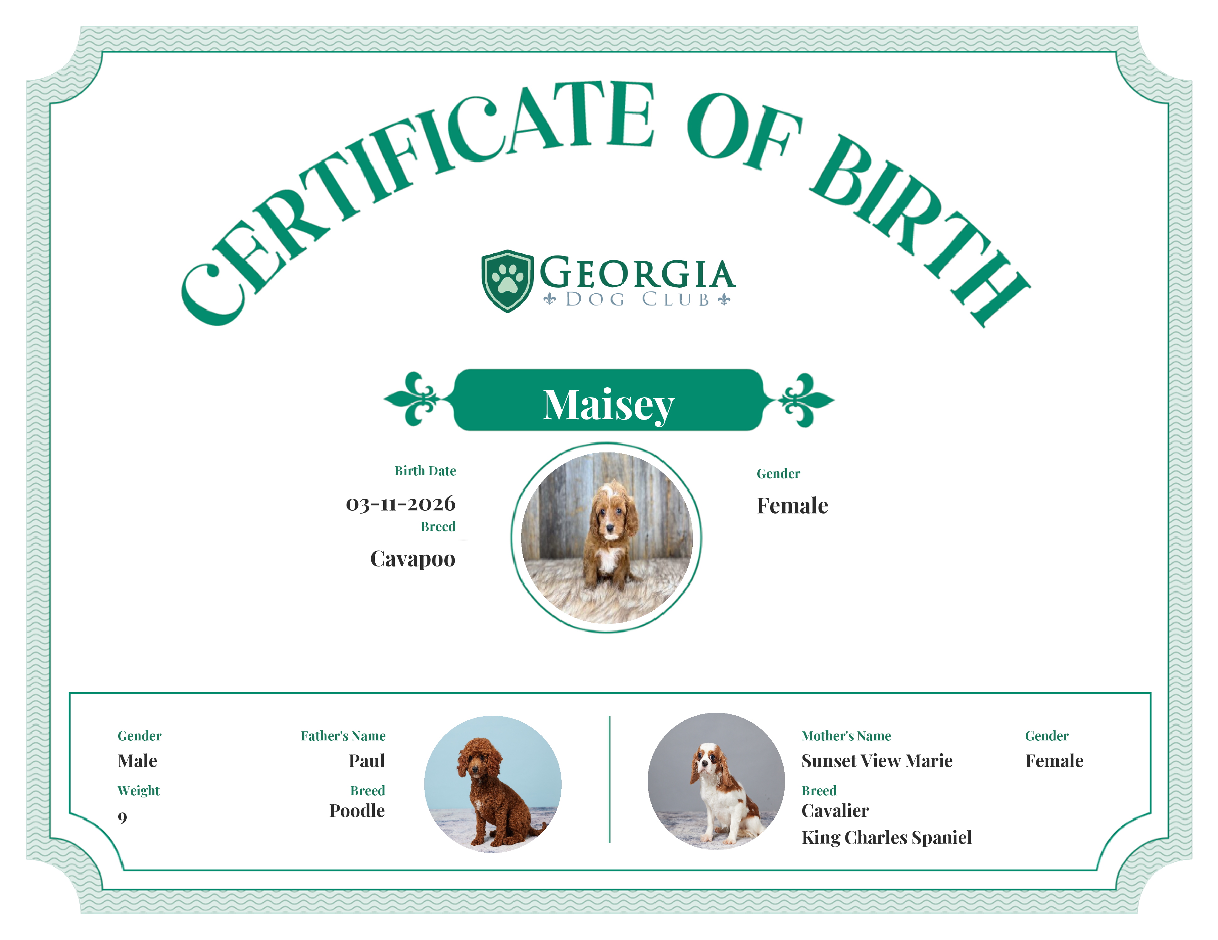 Maisey's Birth Certificate