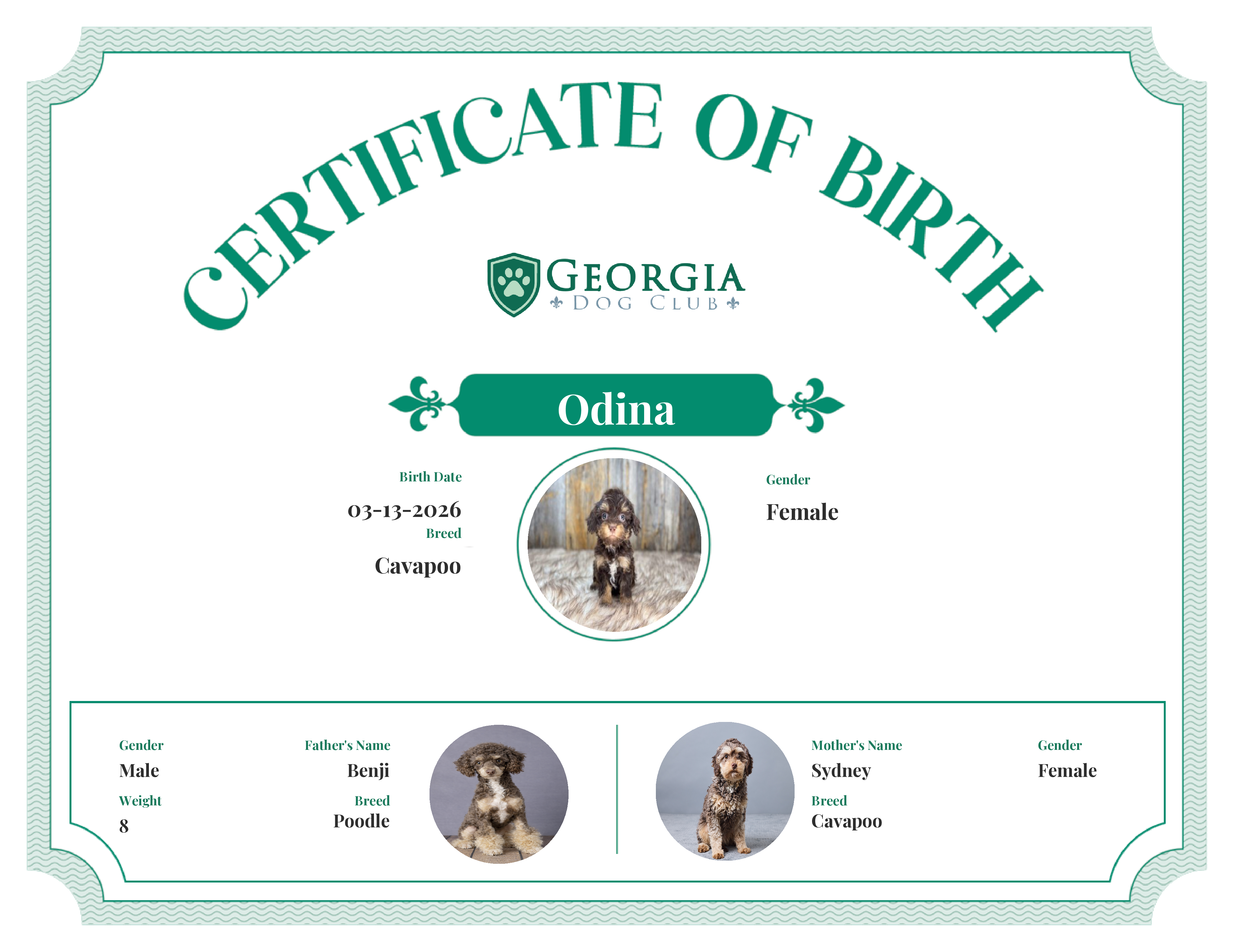Odina's Birth Certificate
