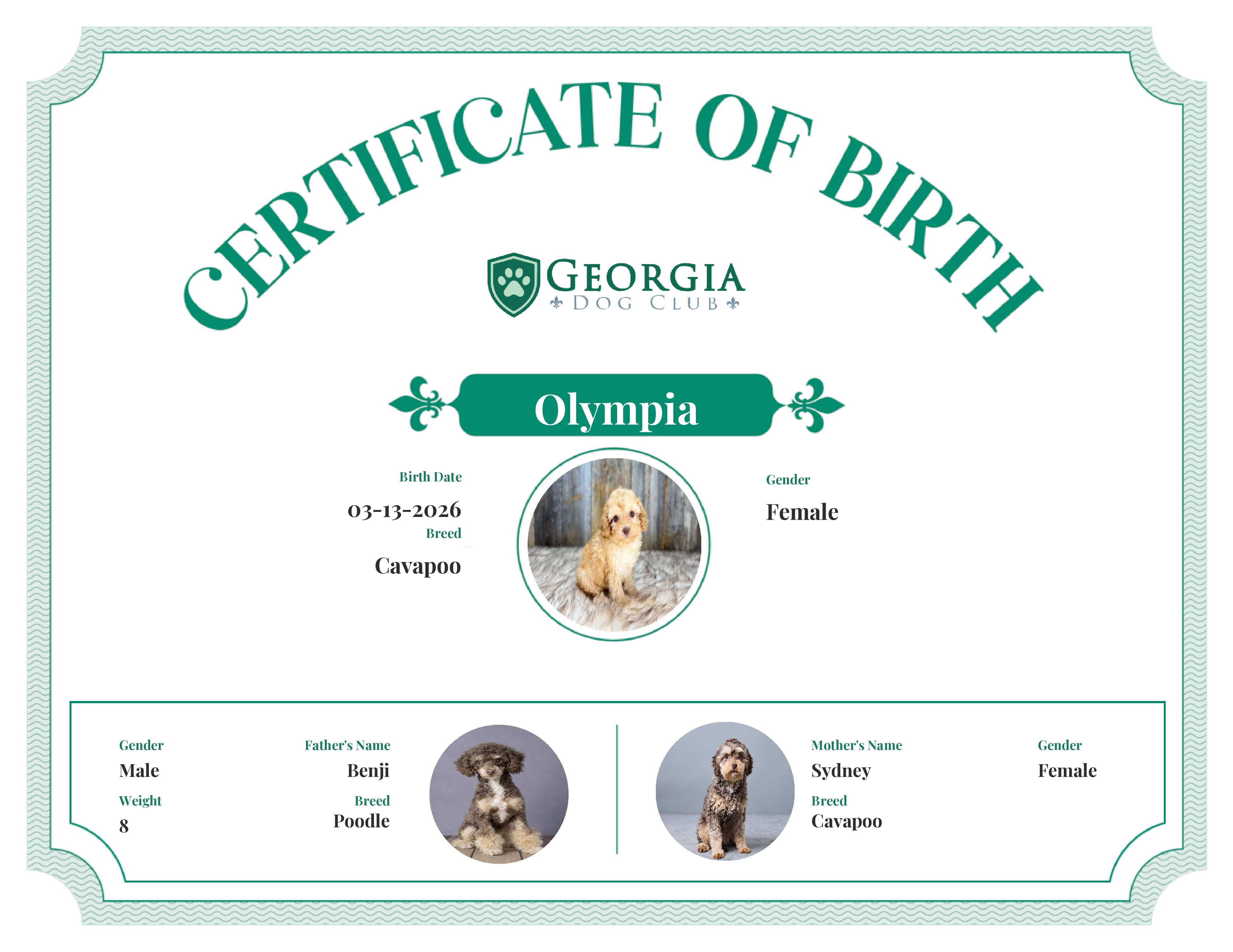 Olympia's Birth Certificate