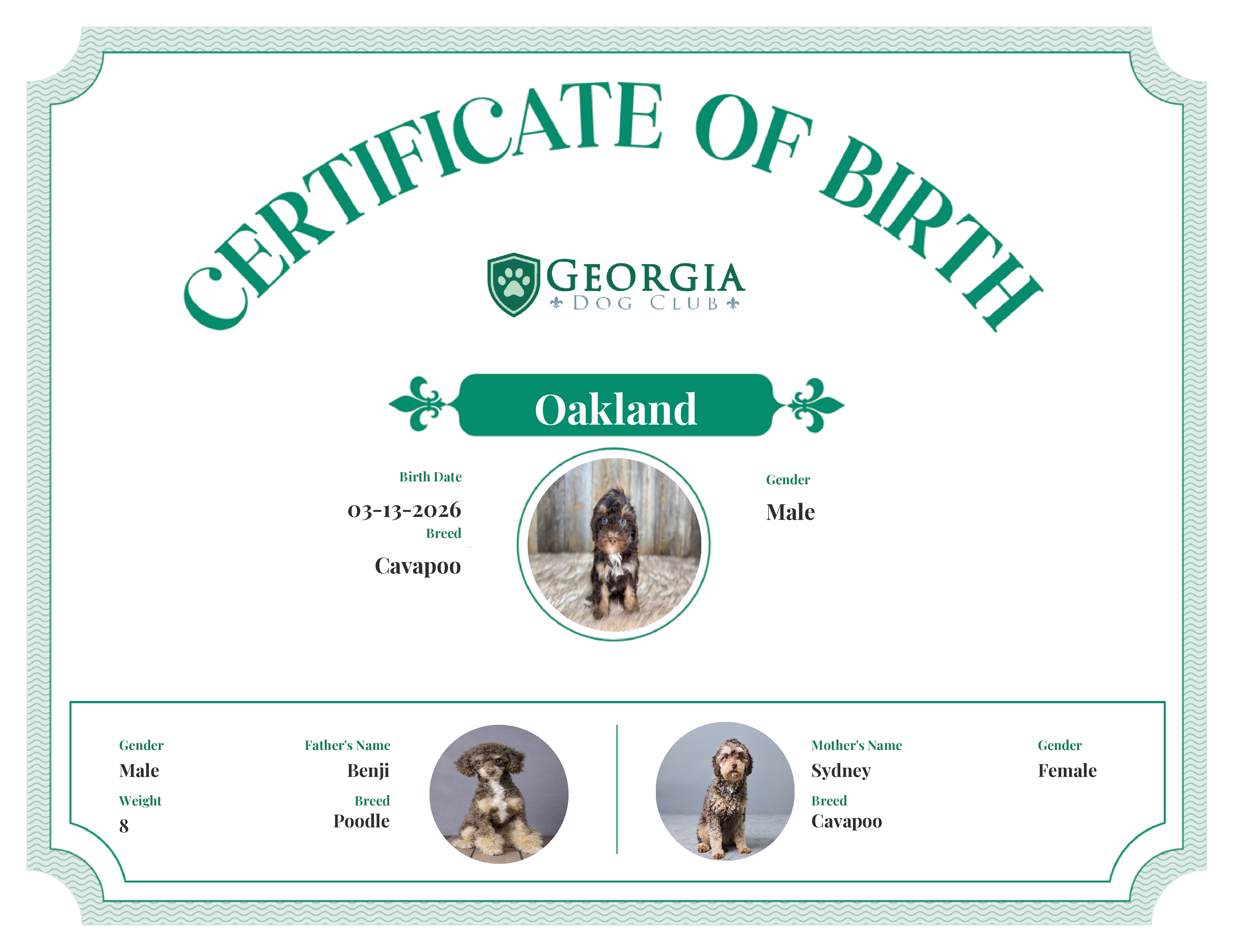 Oakland's Birth Certificate