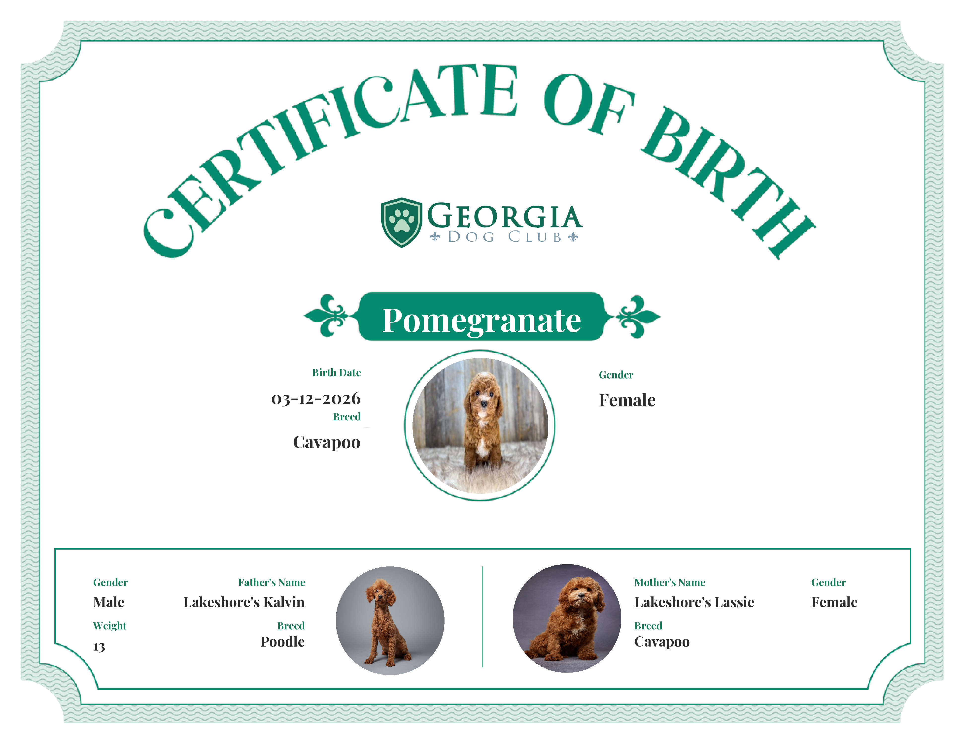 Pomegranate's Birth Certificate