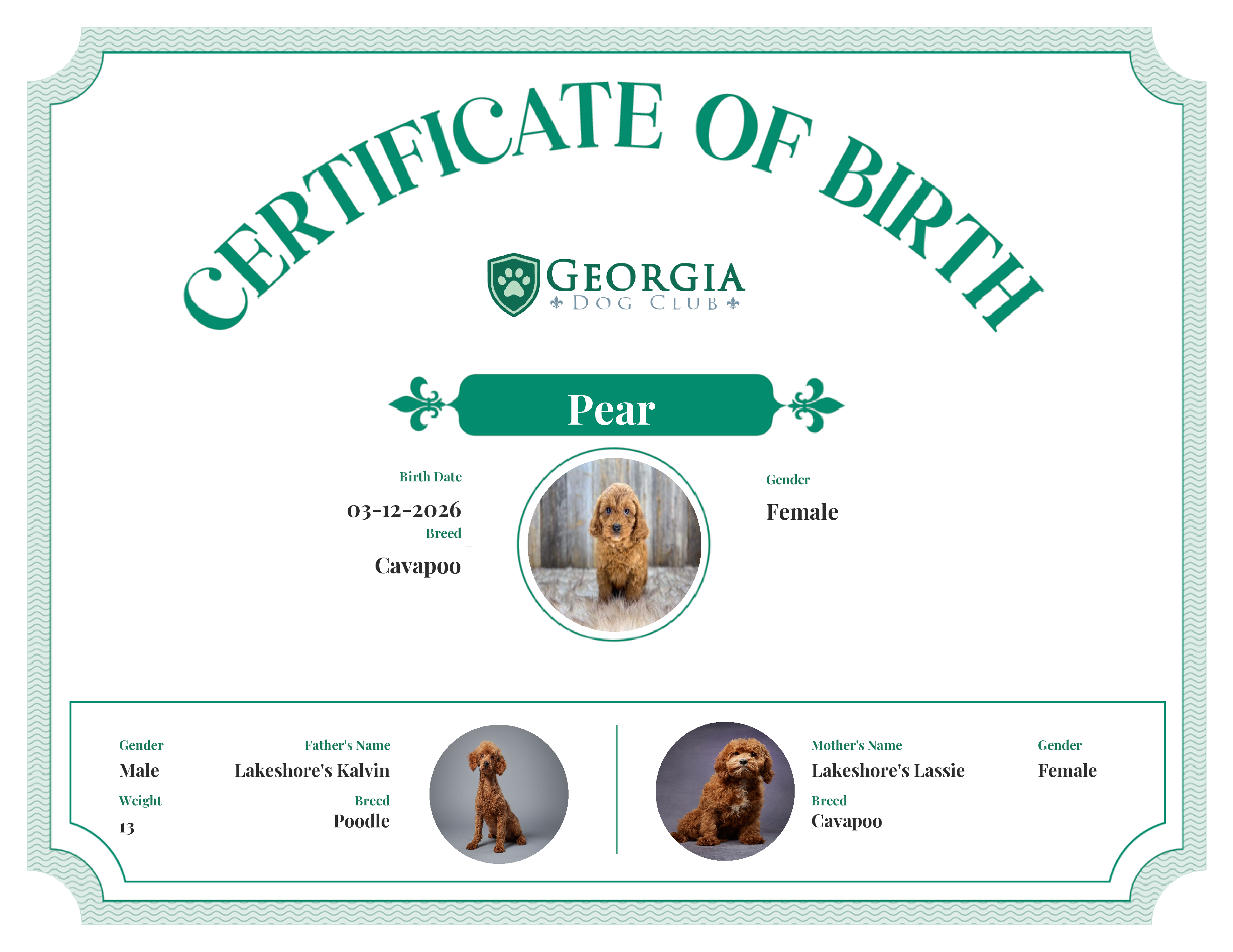 Pear 's Birth Certificate